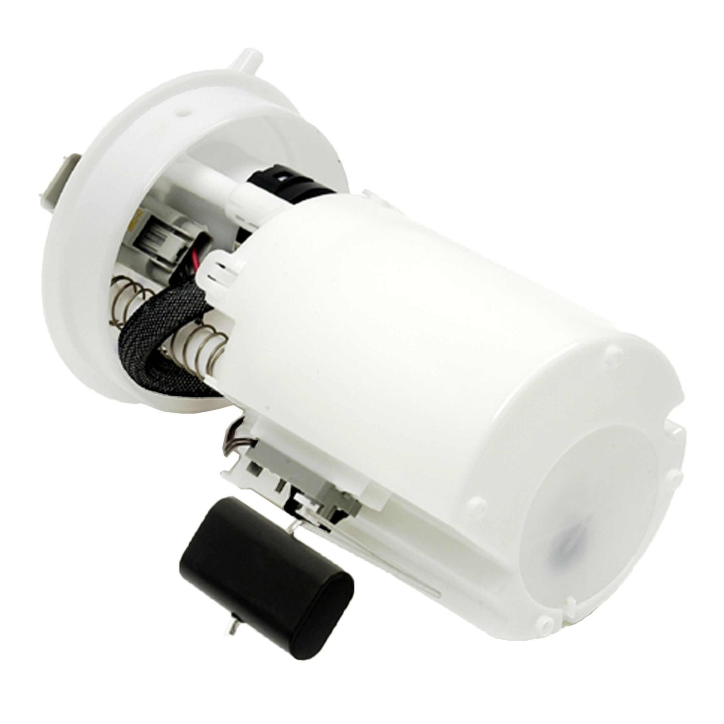 Angle View of Fuel Pump Module Assembly DELPHI FG0373