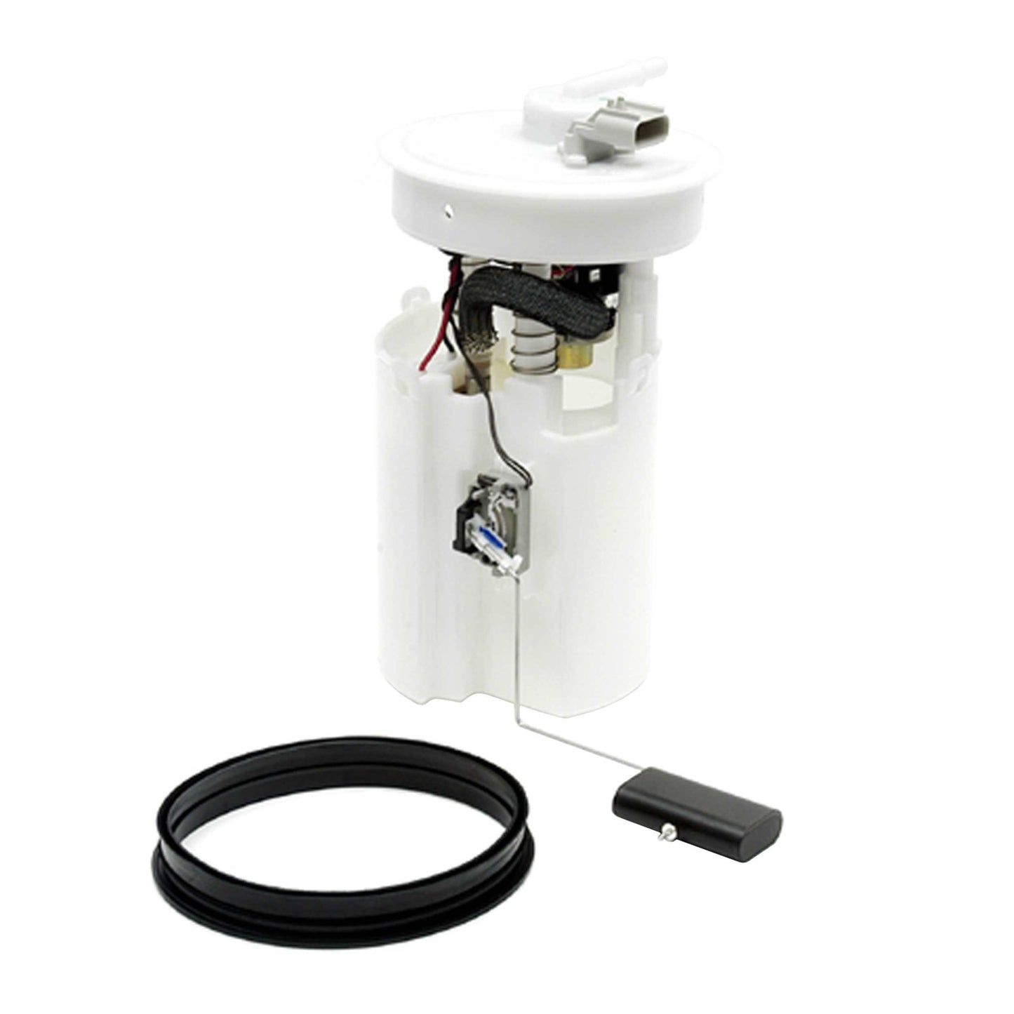 Kit View of Fuel Pump Module Assembly DELPHI FG0373