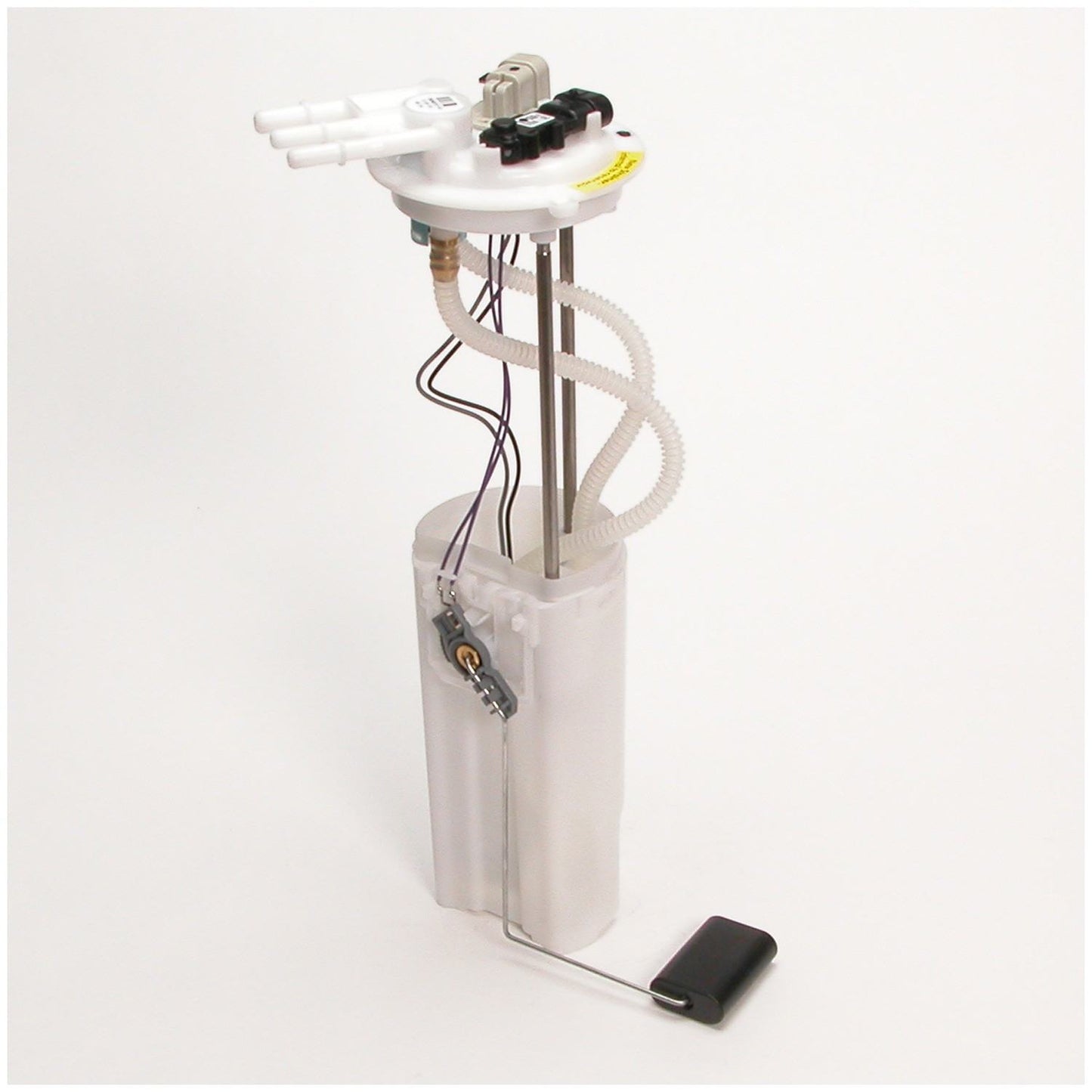 Angle View of Fuel Pump Module Assembly DELPHI FG0376