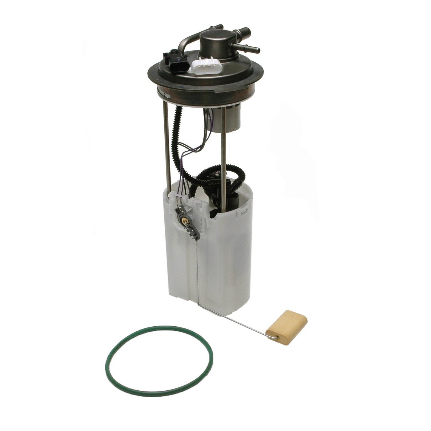 Kit View of Fuel Pump Module Assembly DELPHI FG0383