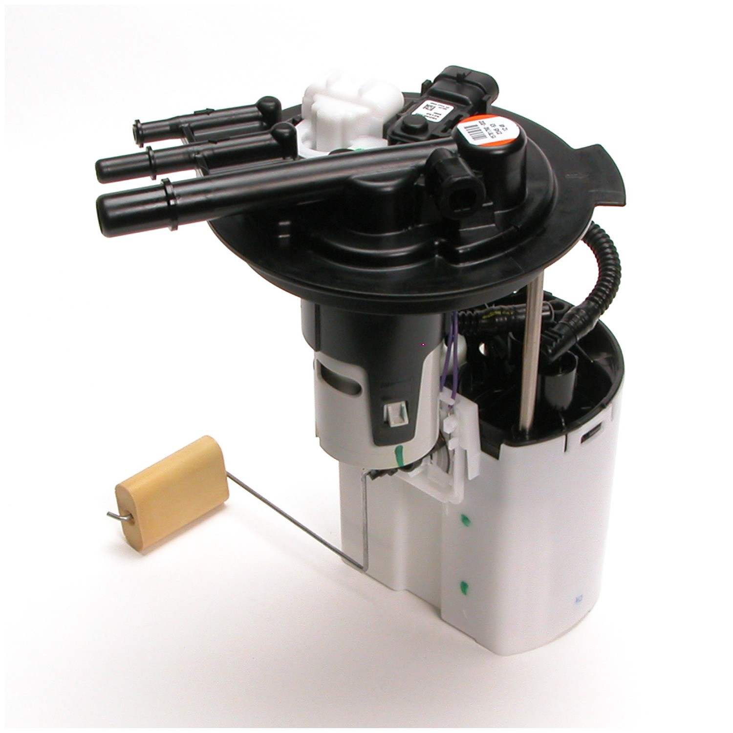 Angle View of Fuel Pump Module Assembly DELPHI FG0405