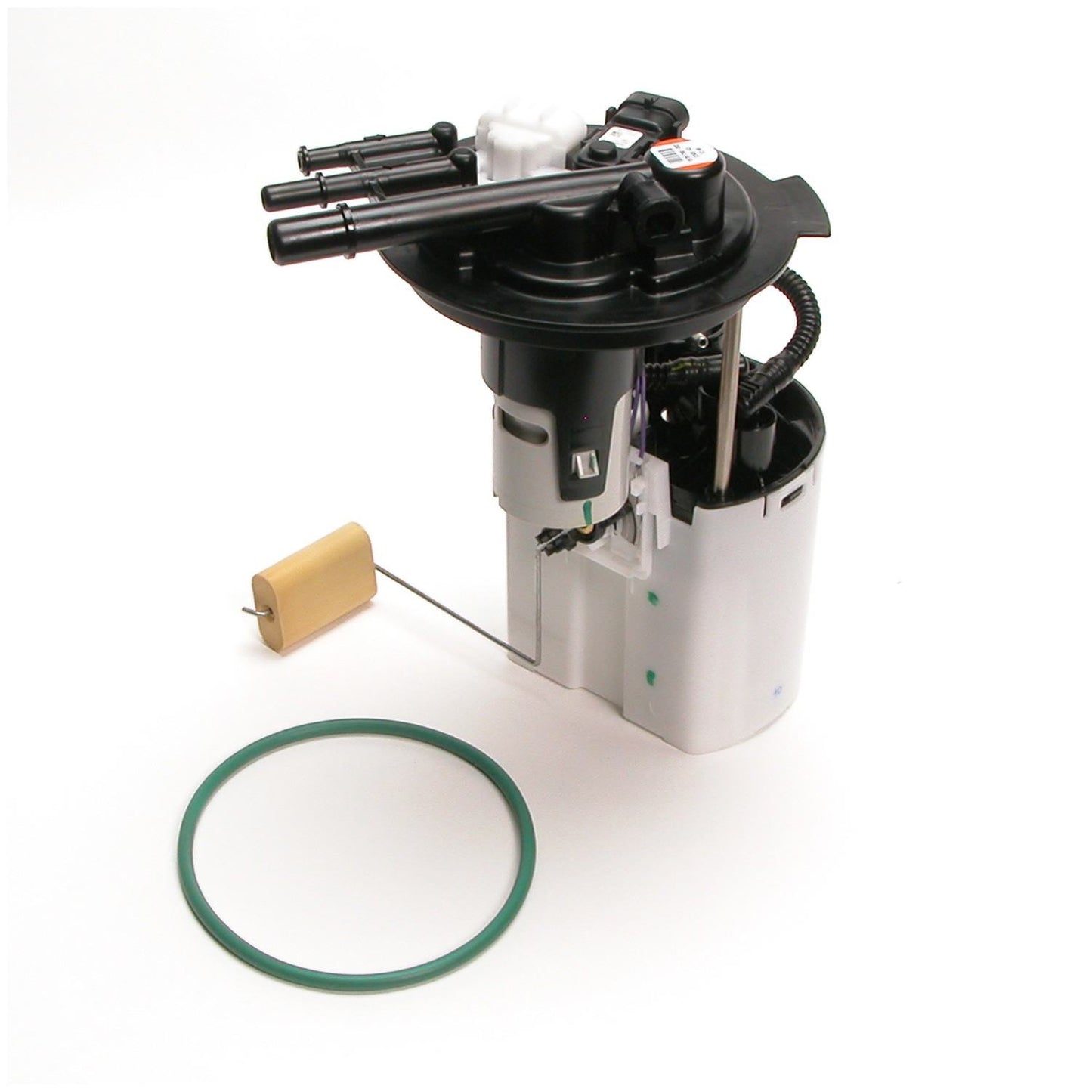 Kit View of Fuel Pump Module Assembly DELPHI FG0405