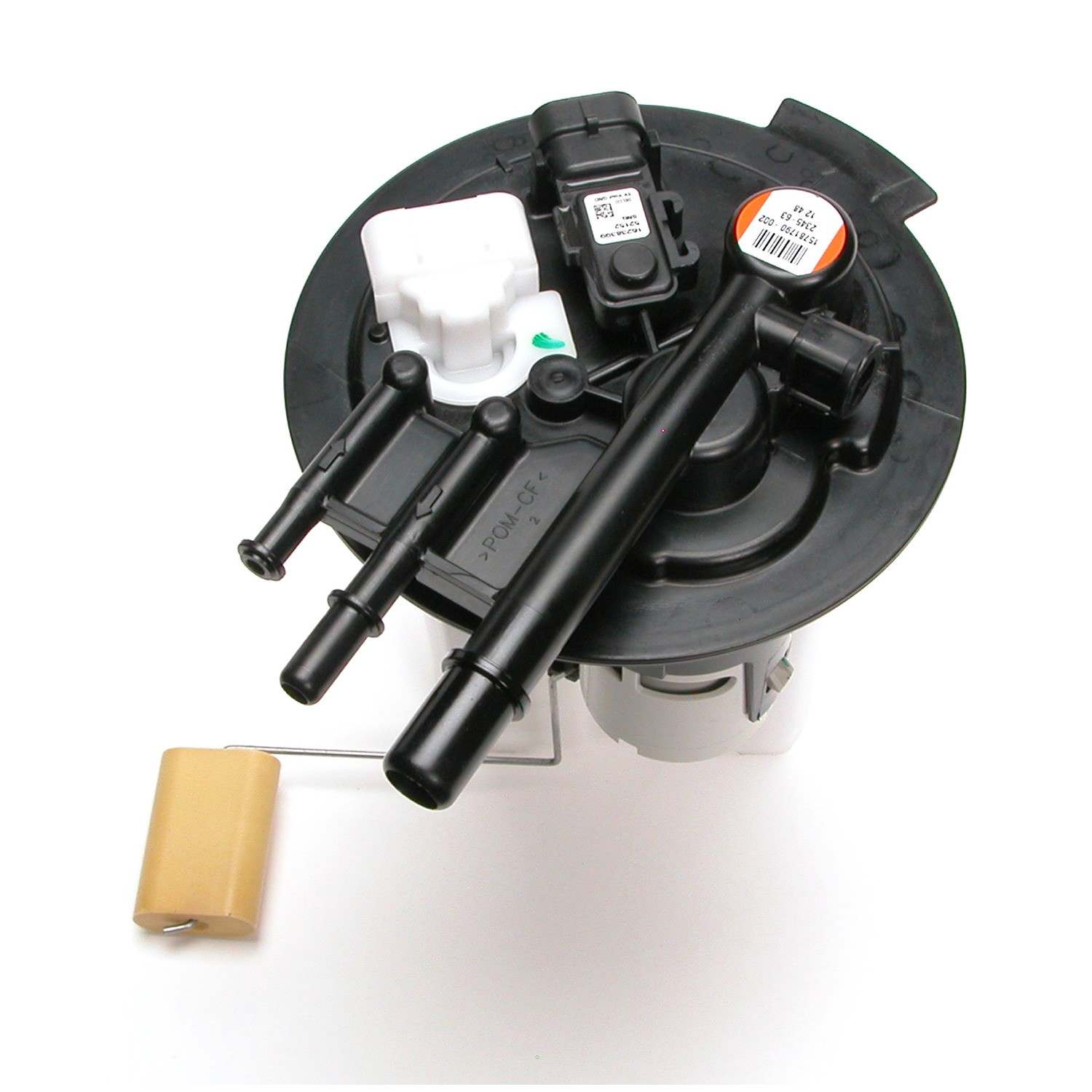 Top View of Fuel Pump Module Assembly DELPHI FG0405