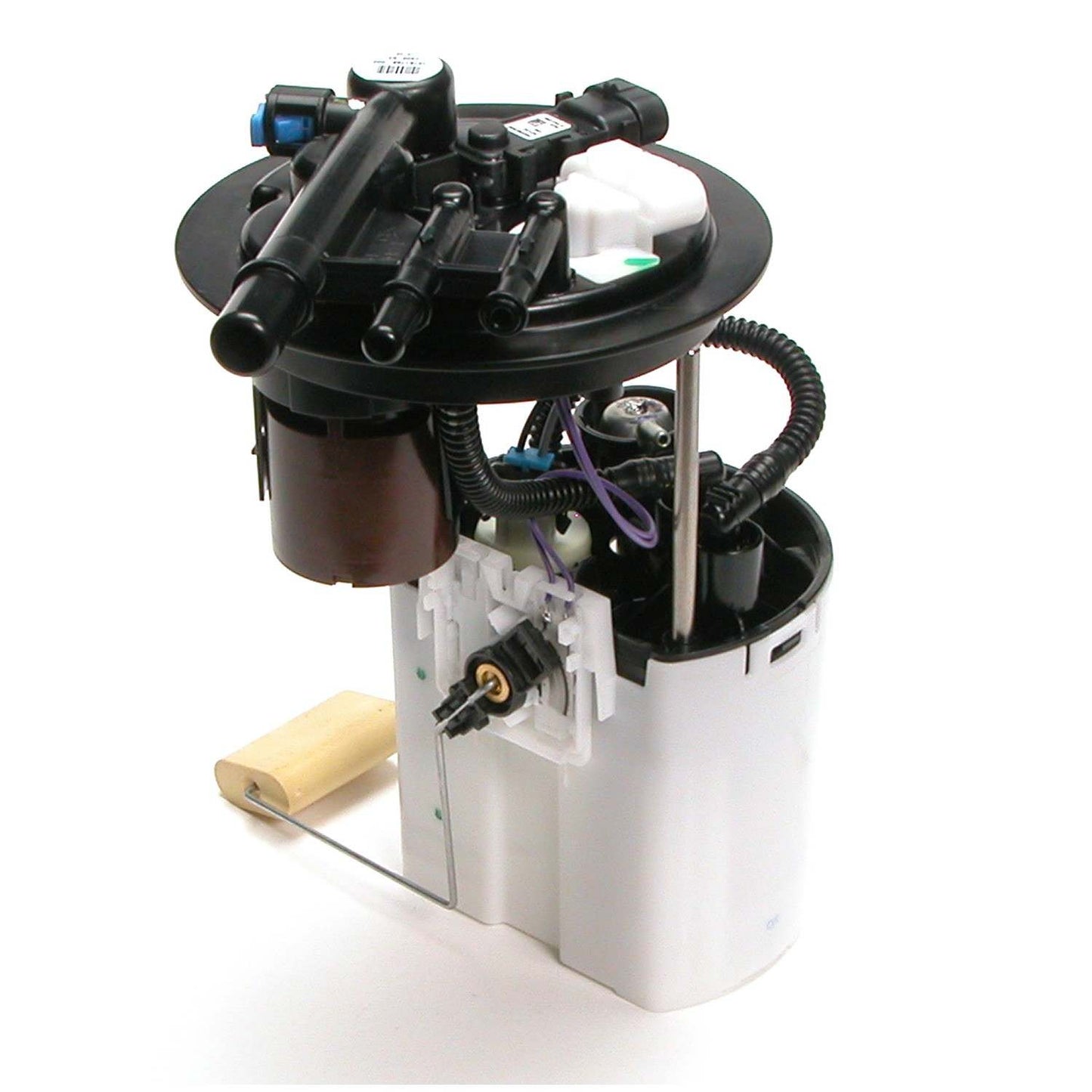 Angle View of Fuel Pump Module Assembly DELPHI FG0406