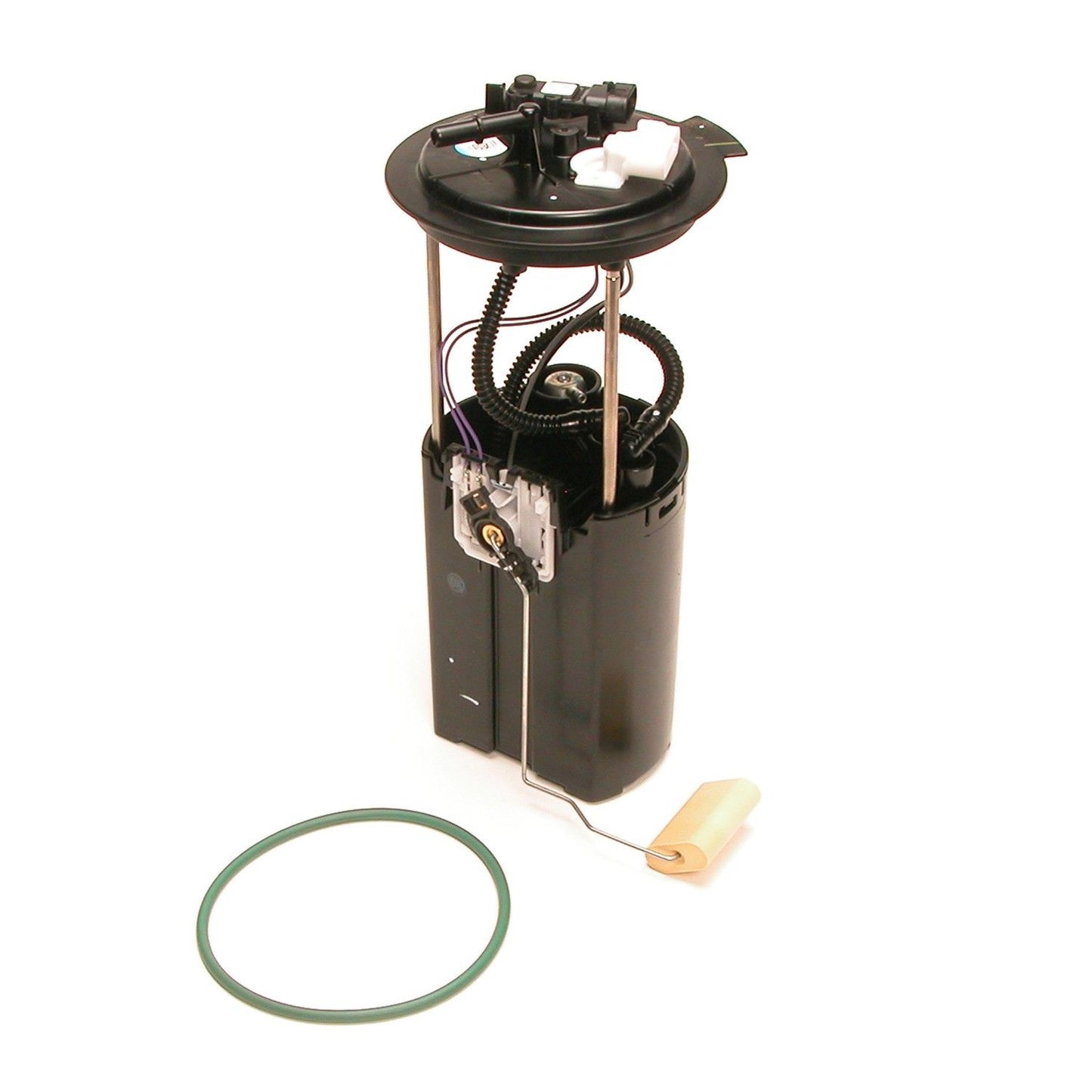 Kit View of Fuel Pump Module Assembly DELPHI FG0433