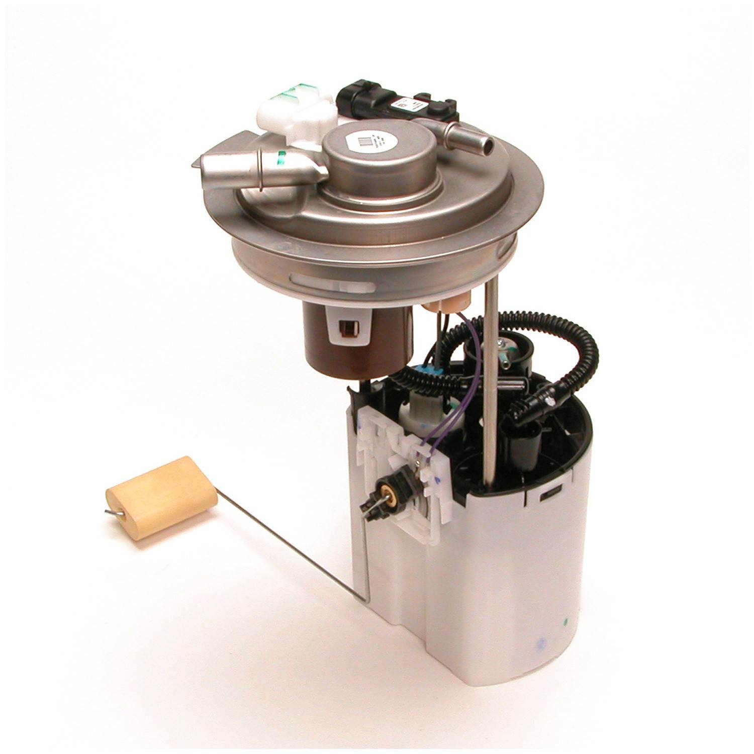 Angle View of Fuel Pump Module Assembly DELPHI FG0435