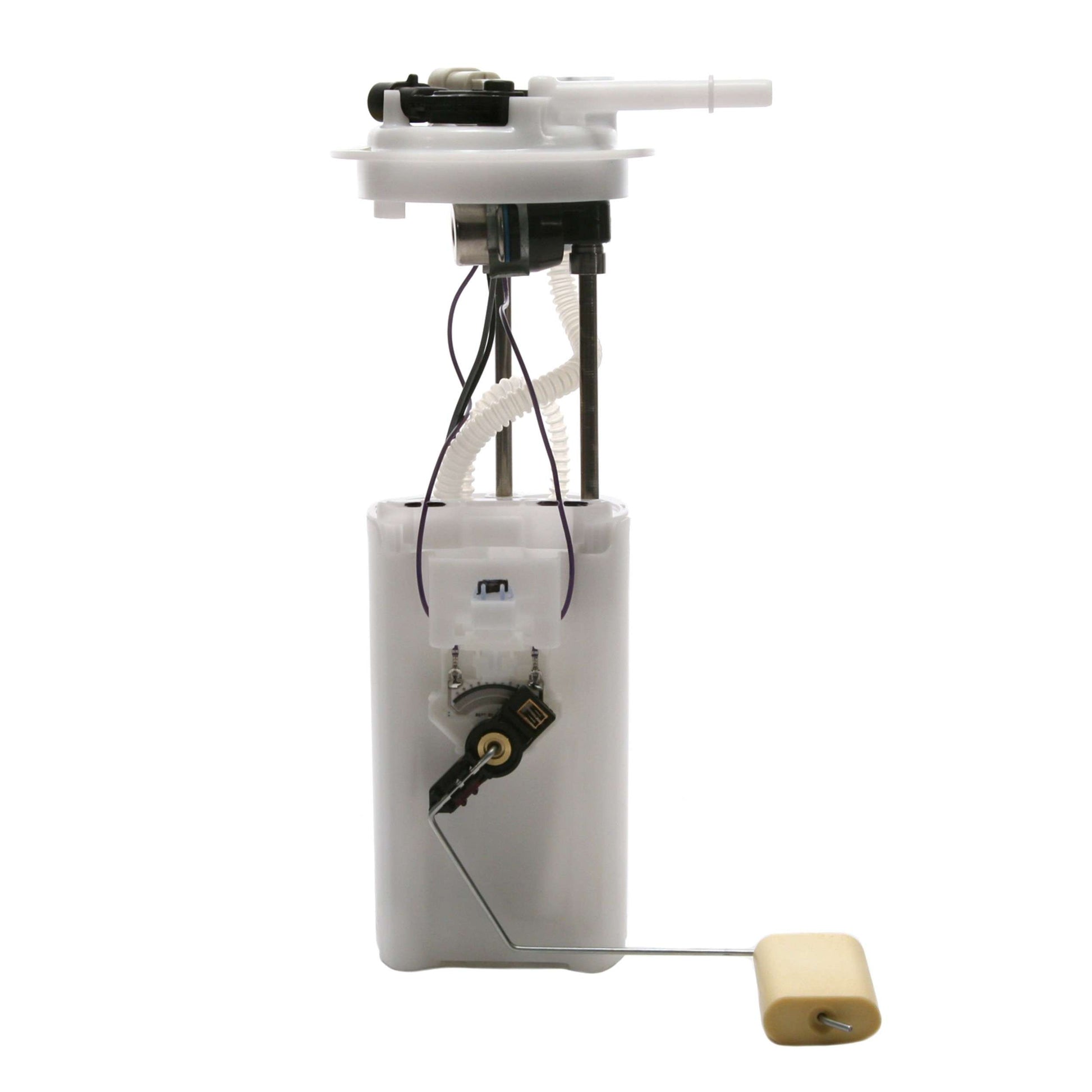 Angle View of Fuel Pump Module Assembly DELPHI FG0444
