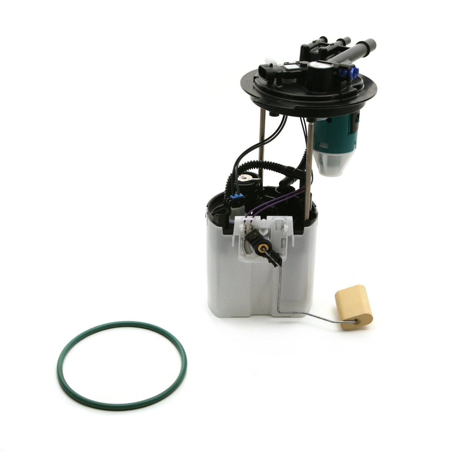 Kit View of Fuel Pump Module Assembly DELPHI FG0505