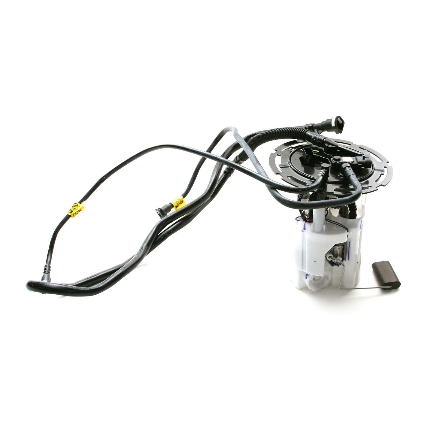 Angle View of Fuel Pump Module Assembly DELPHI FG0514