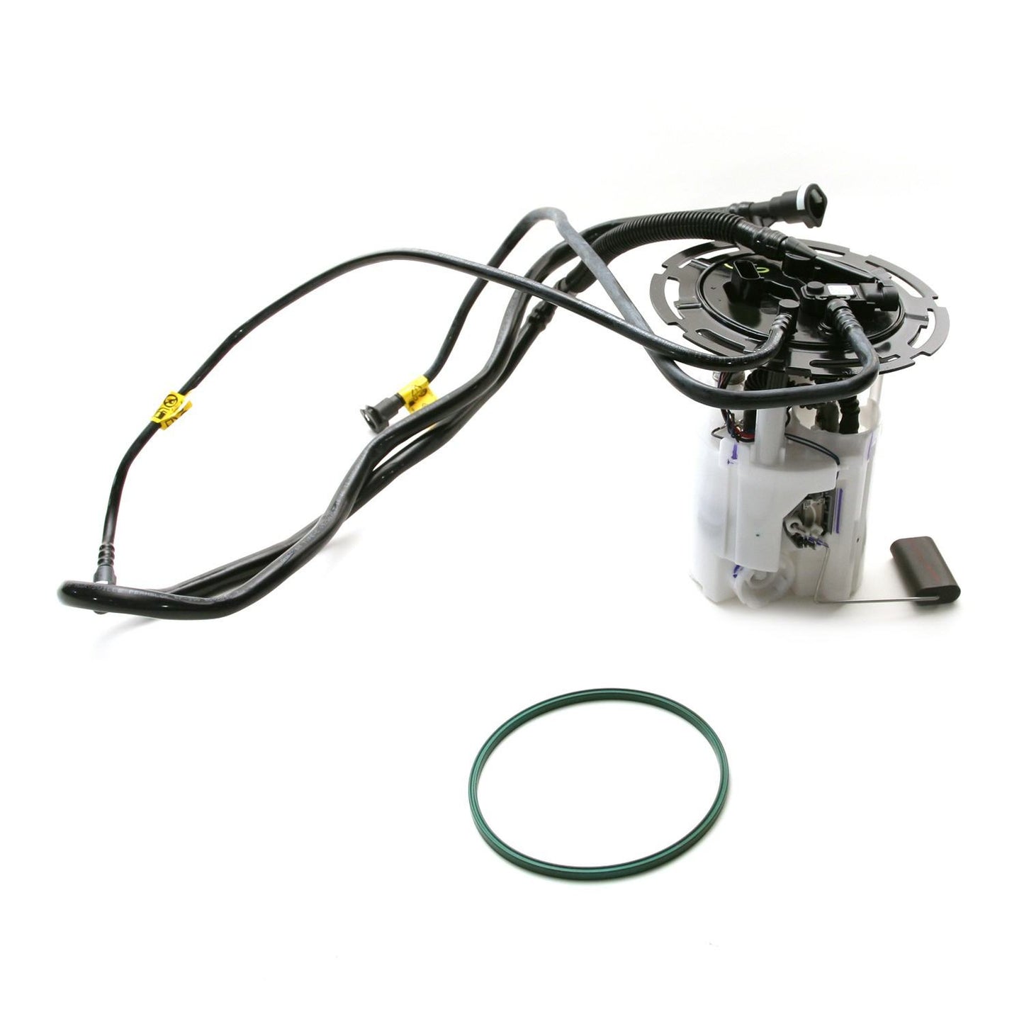 Kit View of Fuel Pump Module Assembly DELPHI FG0514