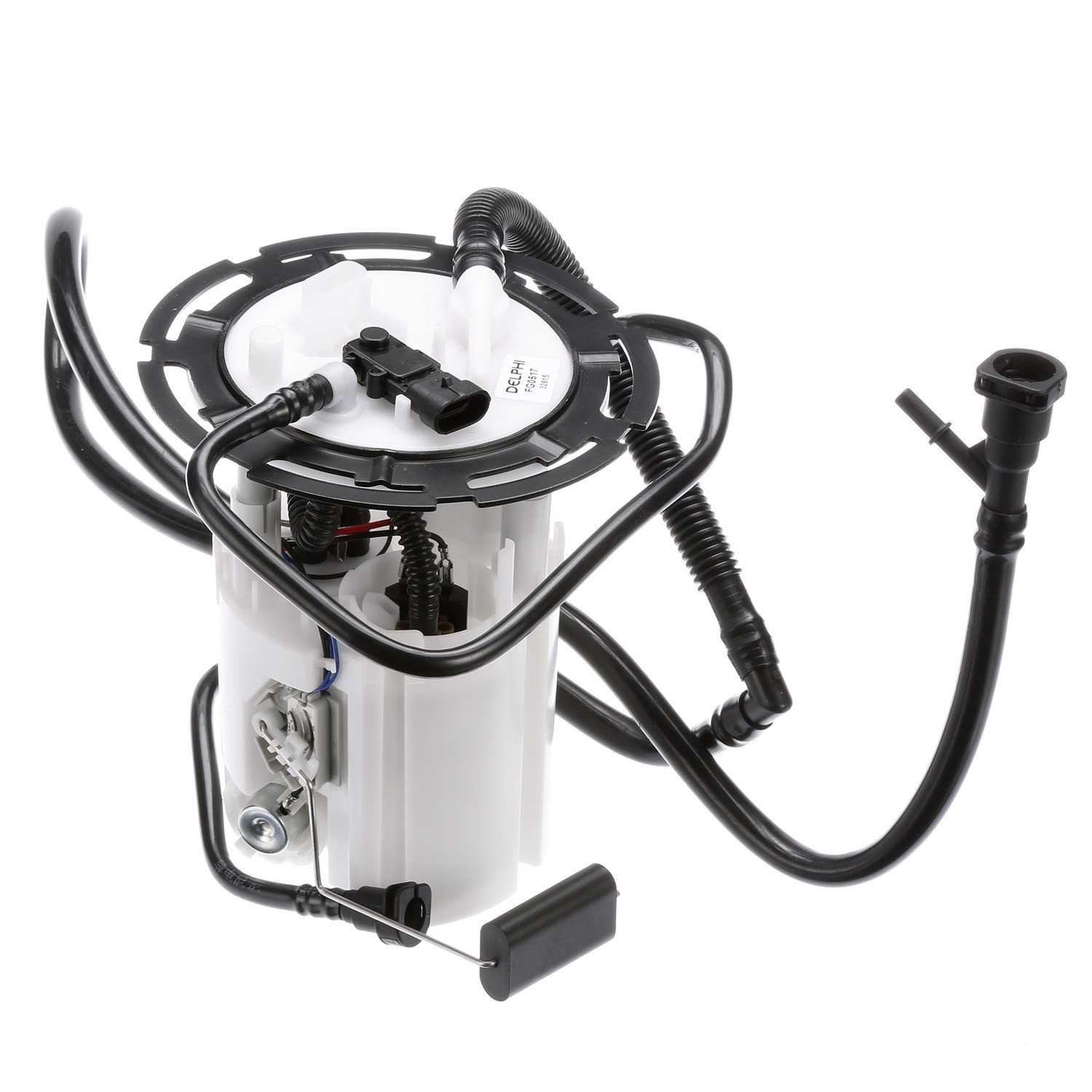 Angle View of Fuel Pump Module Assembly DELPHI FG0517