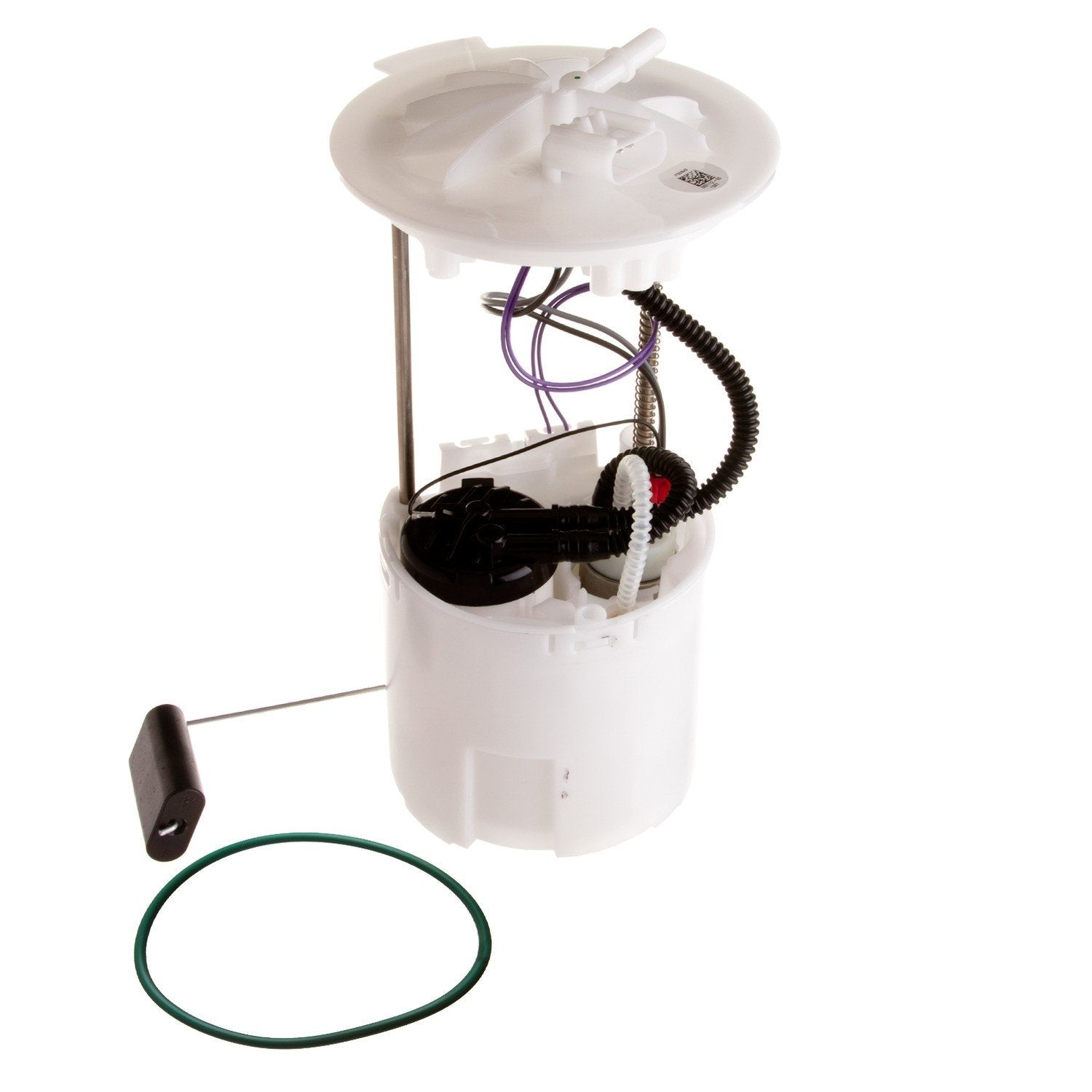 Kit View of Fuel Pump Module Assembly DELPHI FG0843