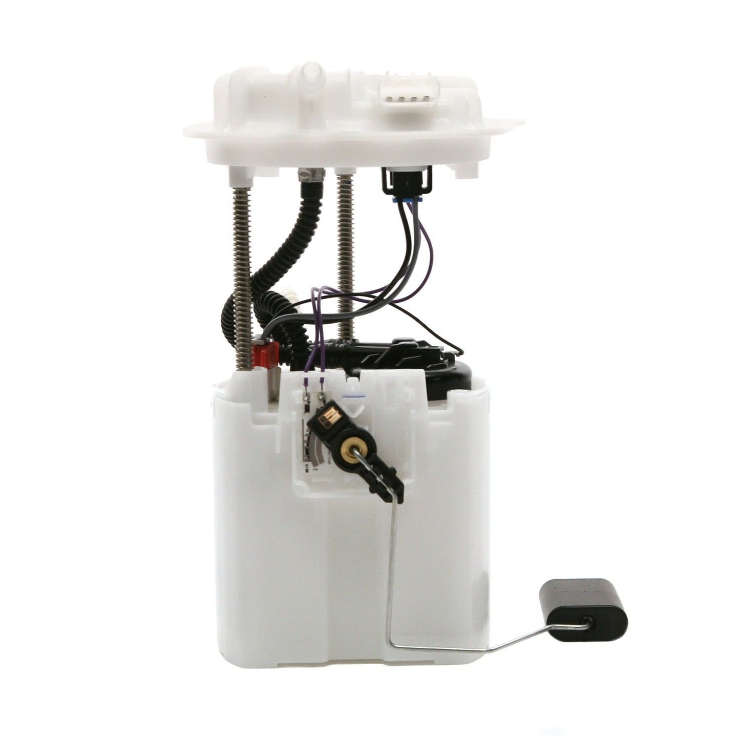 Angle View of Fuel Pump Module Assembly DELPHI FG0887