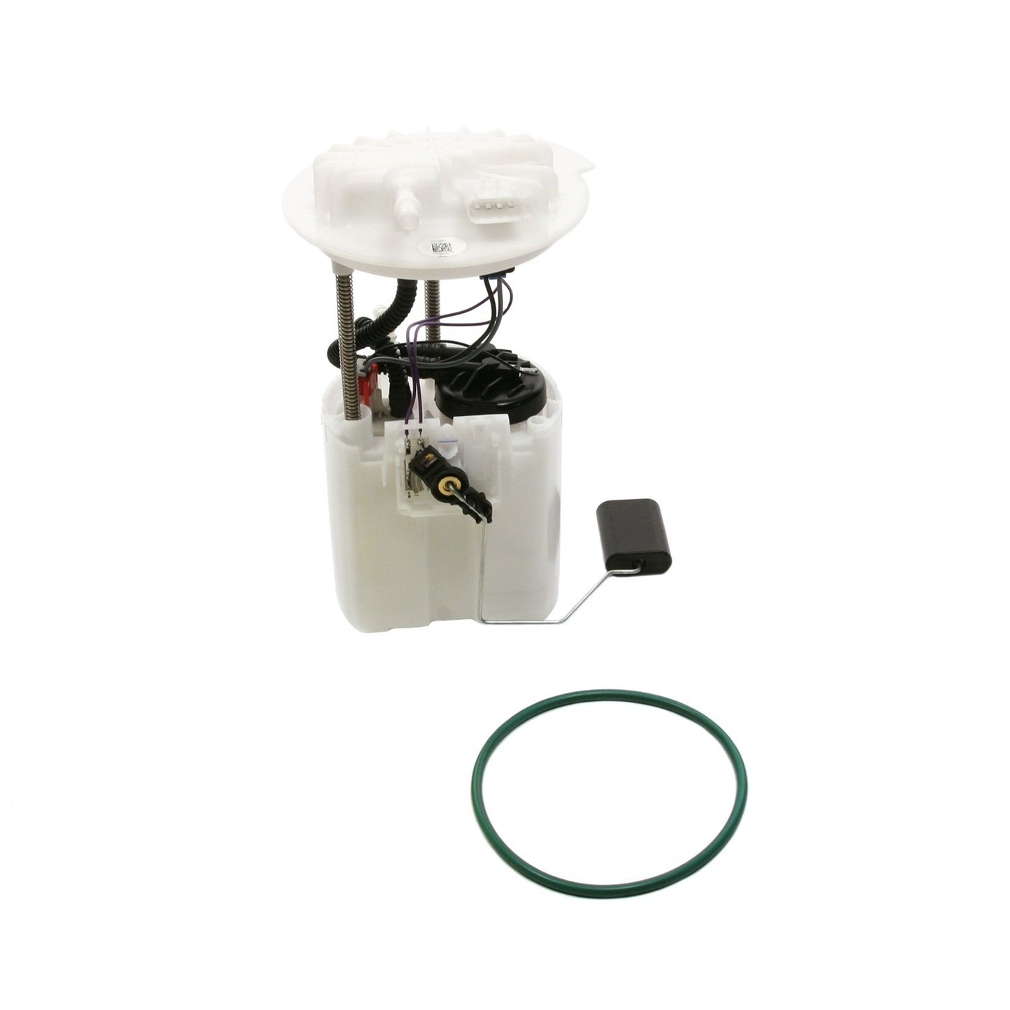 Kit View of Fuel Pump Module Assembly DELPHI FG0887