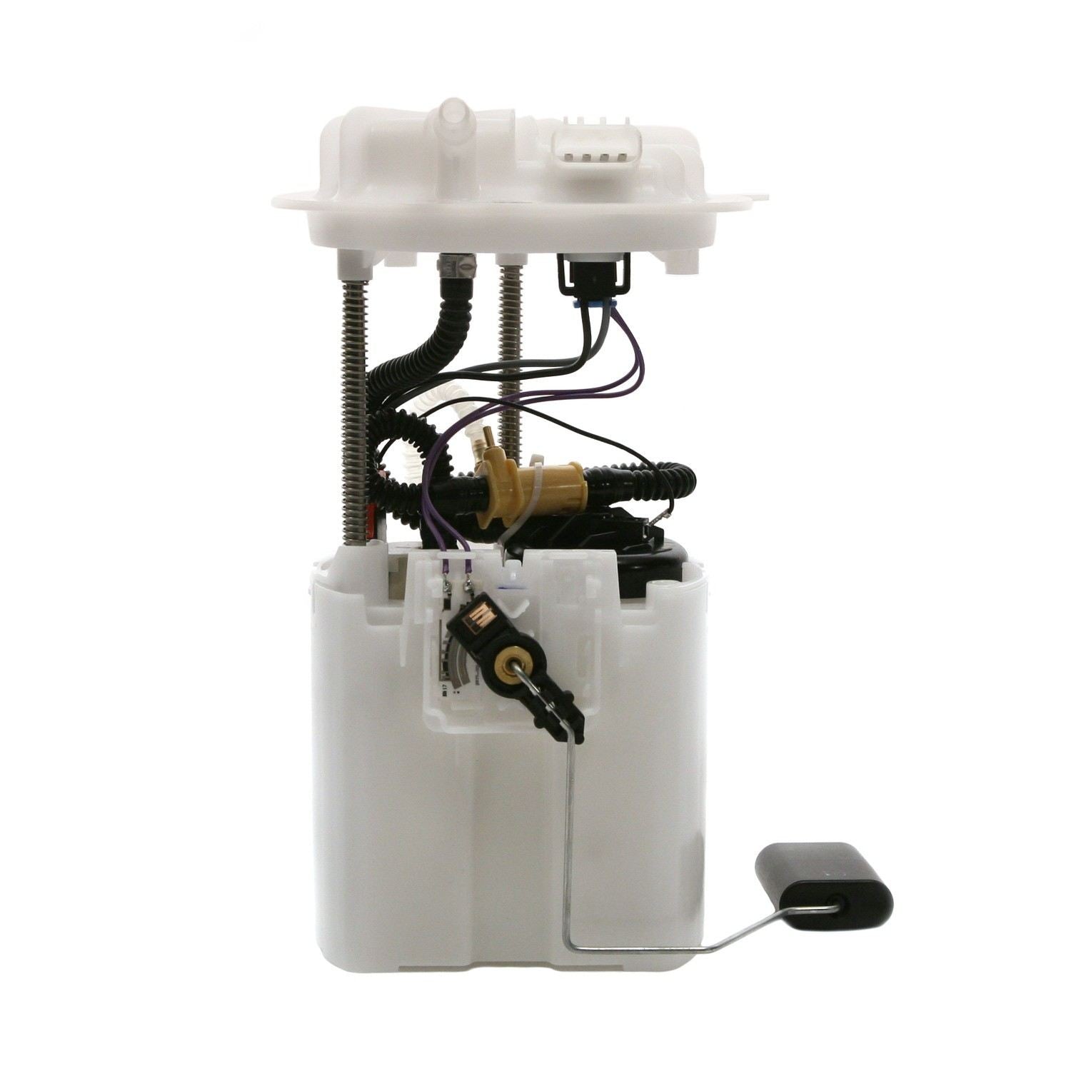 Angle View of Fuel Pump Module Assembly DELPHI FG0890