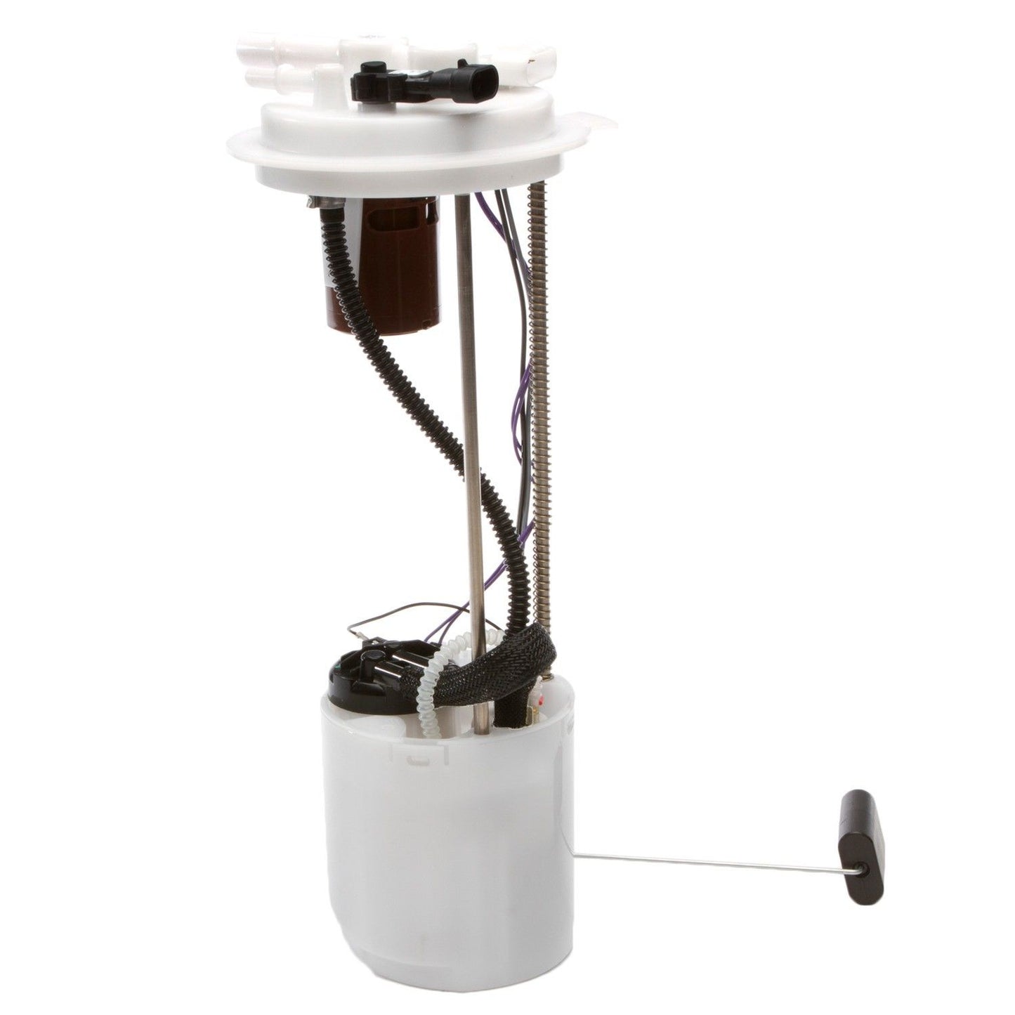 Angle View of Fuel Pump Module Assembly DELPHI FG0907