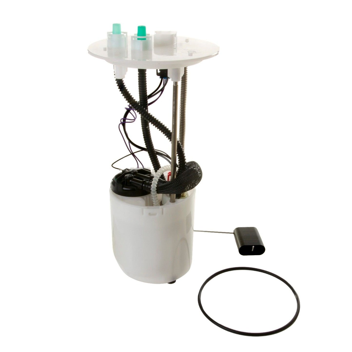 Kit View of Fuel Pump Module Assembly DELPHI FG0919