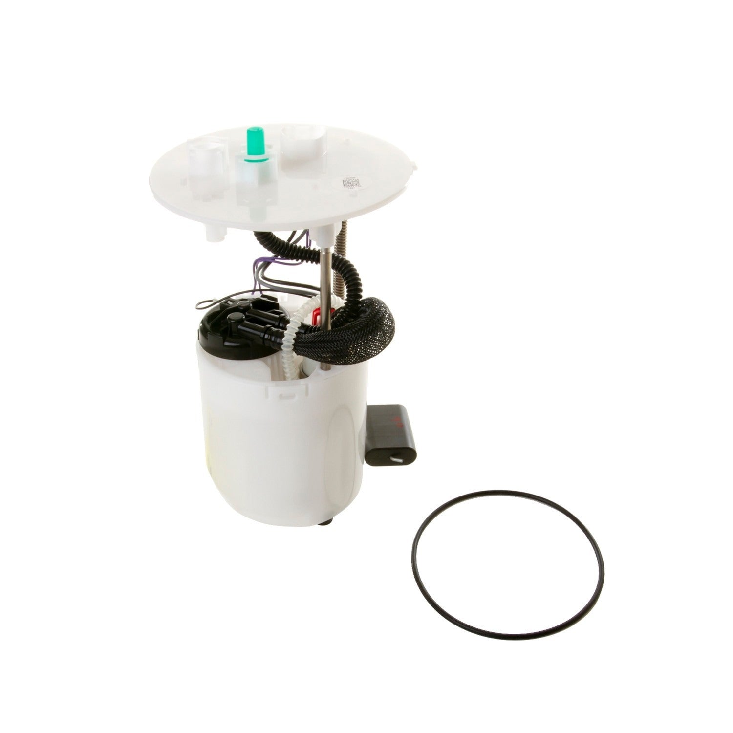 Kit View of Fuel Pump Module Assembly DELPHI FG0920