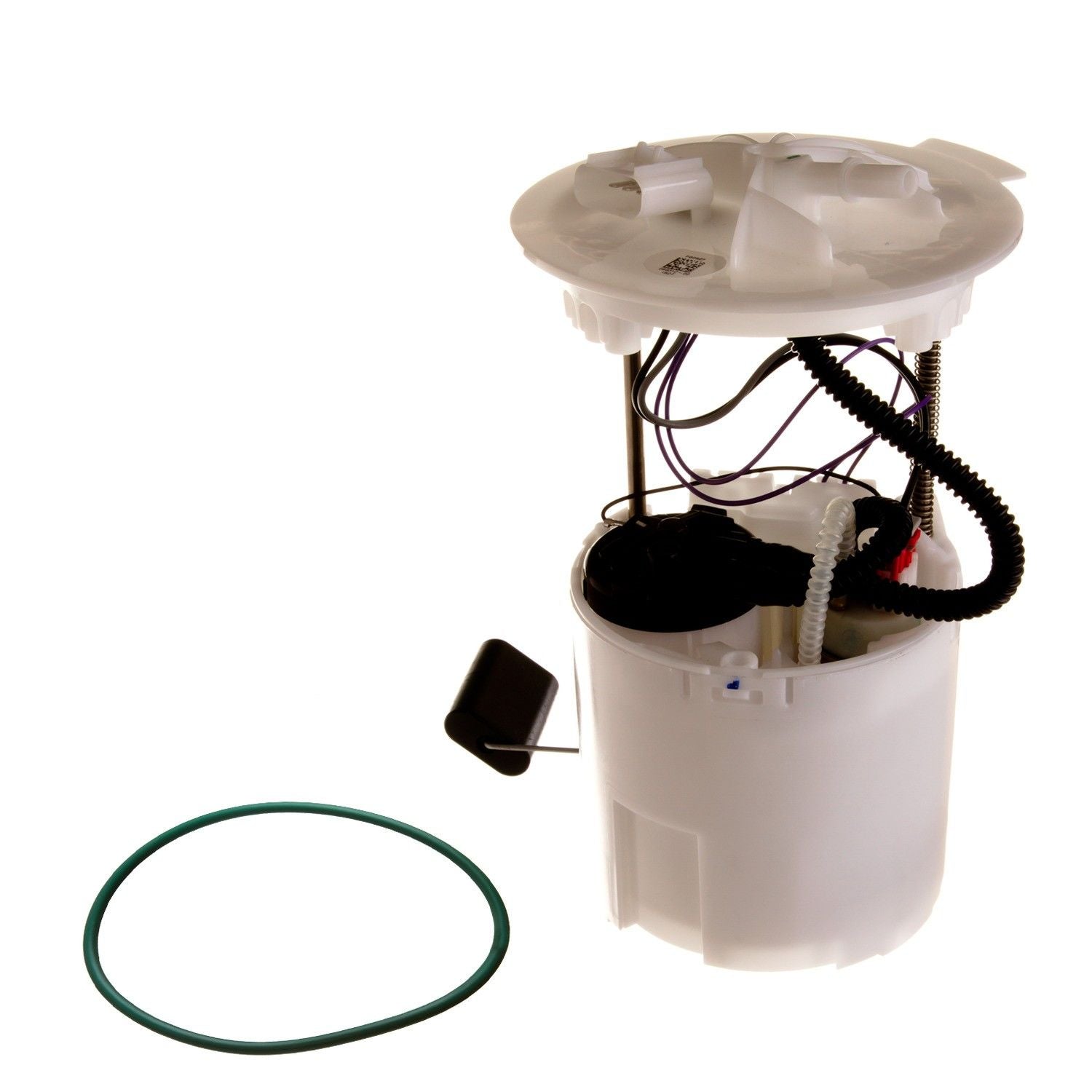 Kit View of Fuel Pump Module Assembly DELPHI FG0927