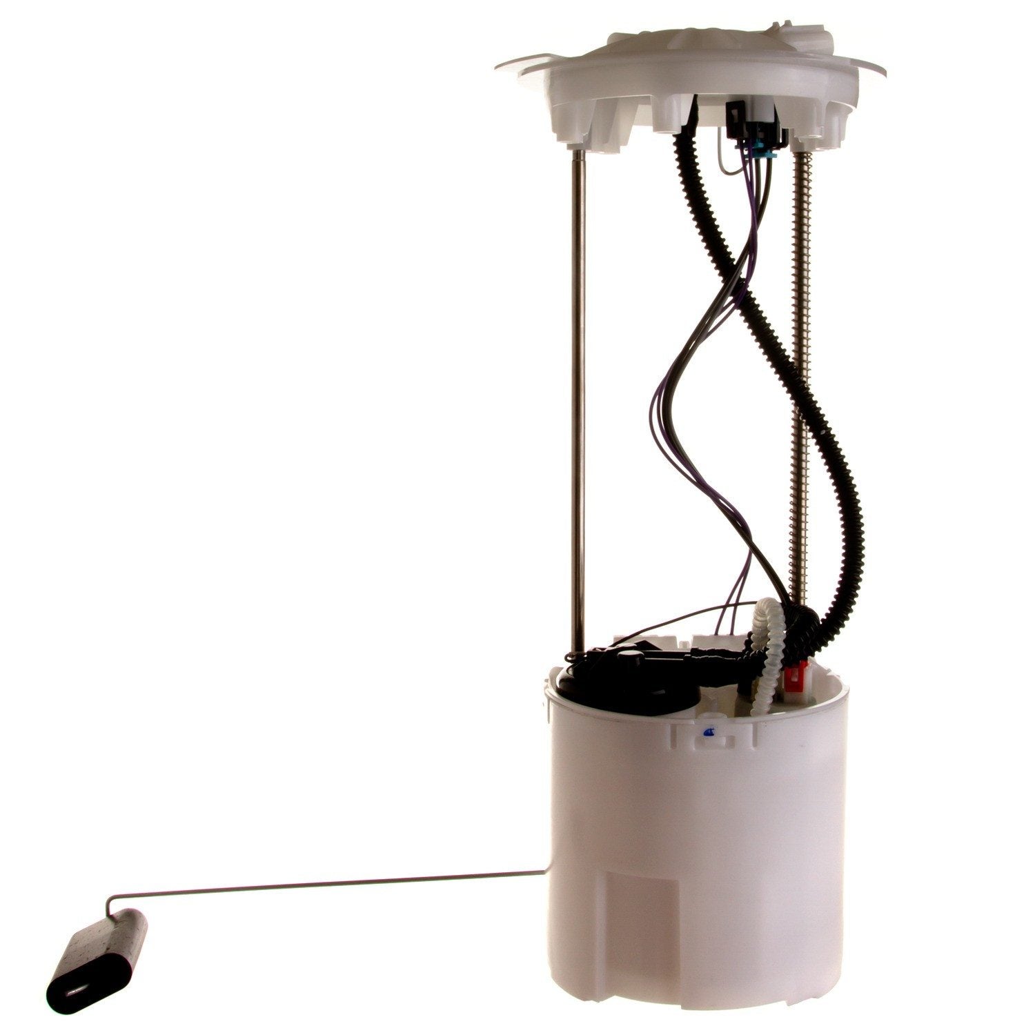 Angle View of Fuel Pump Module Assembly DELPHI FG0929