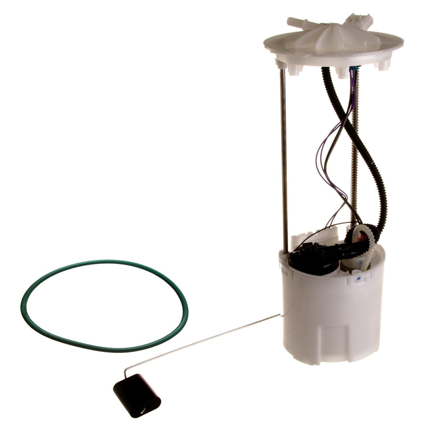 Kit View of Fuel Pump Module Assembly DELPHI FG0929