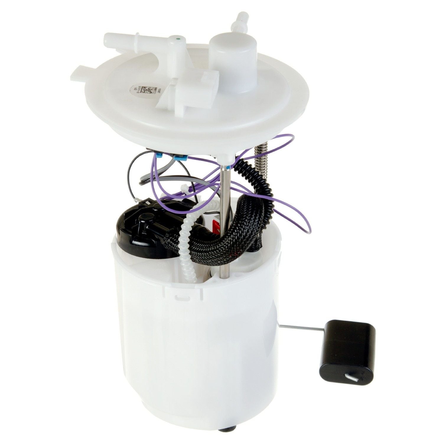 Angle View of Fuel Pump Module Assembly DELPHI FG0987