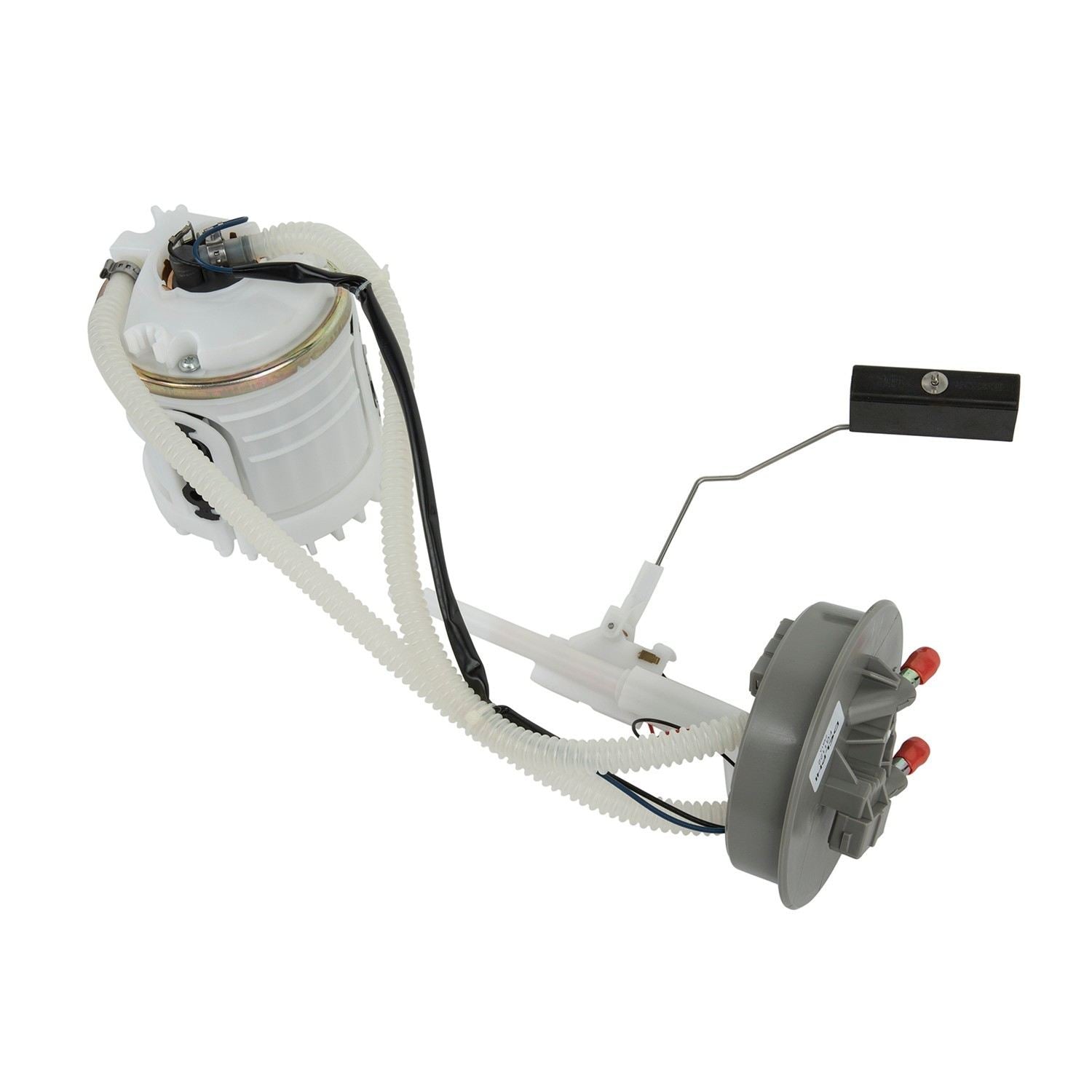 Angle View of Fuel Pump Module Assembly DELPHI FG1122