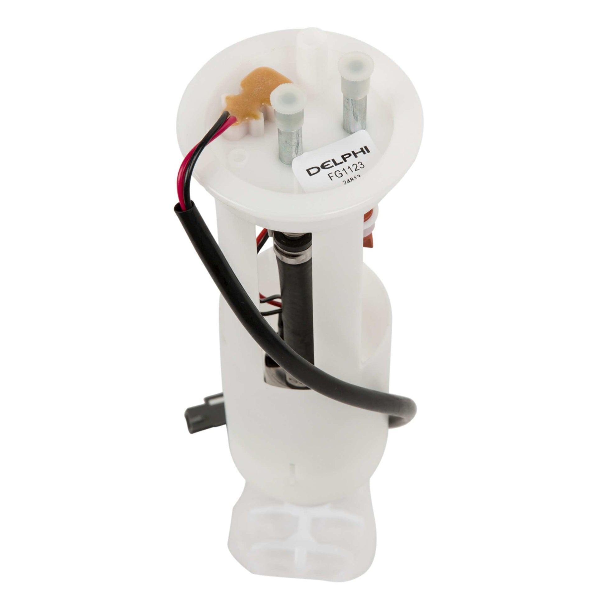 Angle View of Fuel Pump Module Assembly DELPHI FG1123