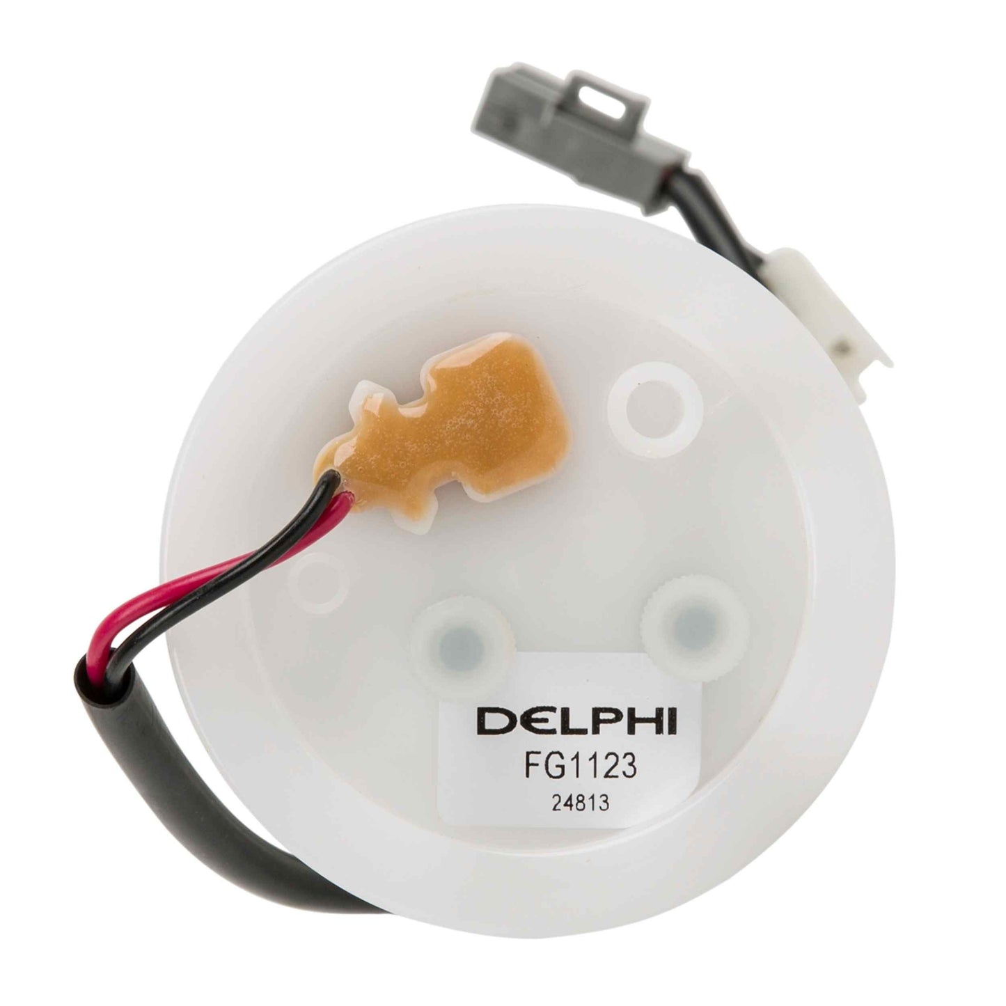 Top View of Fuel Pump Module Assembly DELPHI FG1123