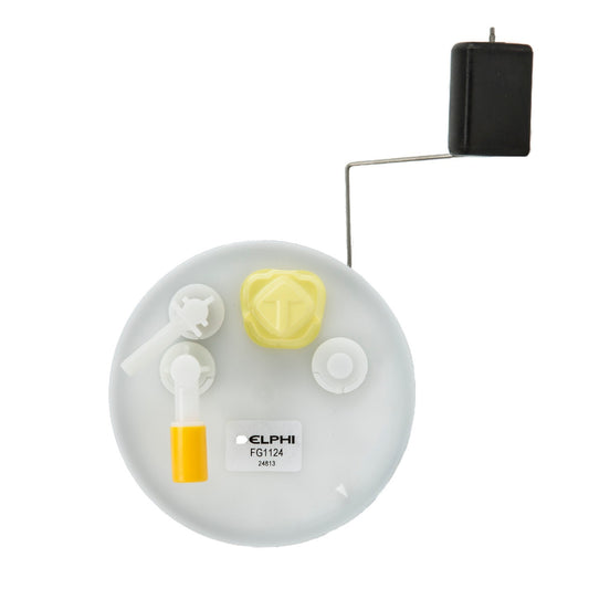 Top View of Fuel Pump Module Assembly DELPHI FG1124