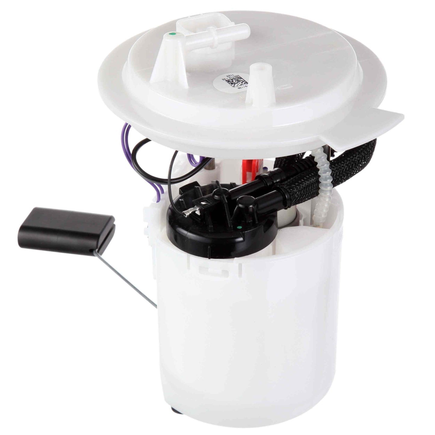 Angle View of Fuel Pump Module Assembly DELPHI FG1138