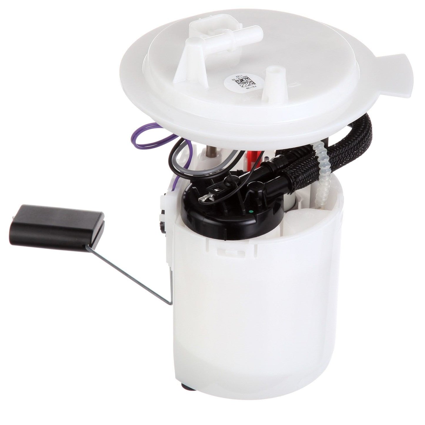 Angle View of Fuel Pump Module Assembly DELPHI FG1139