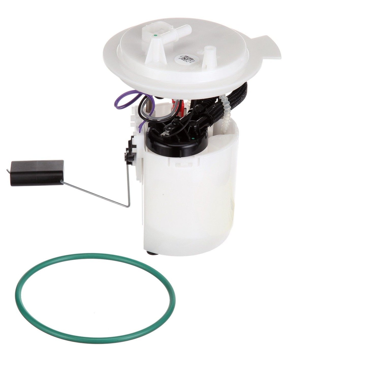 Kit View of Fuel Pump Module Assembly DELPHI FG1139