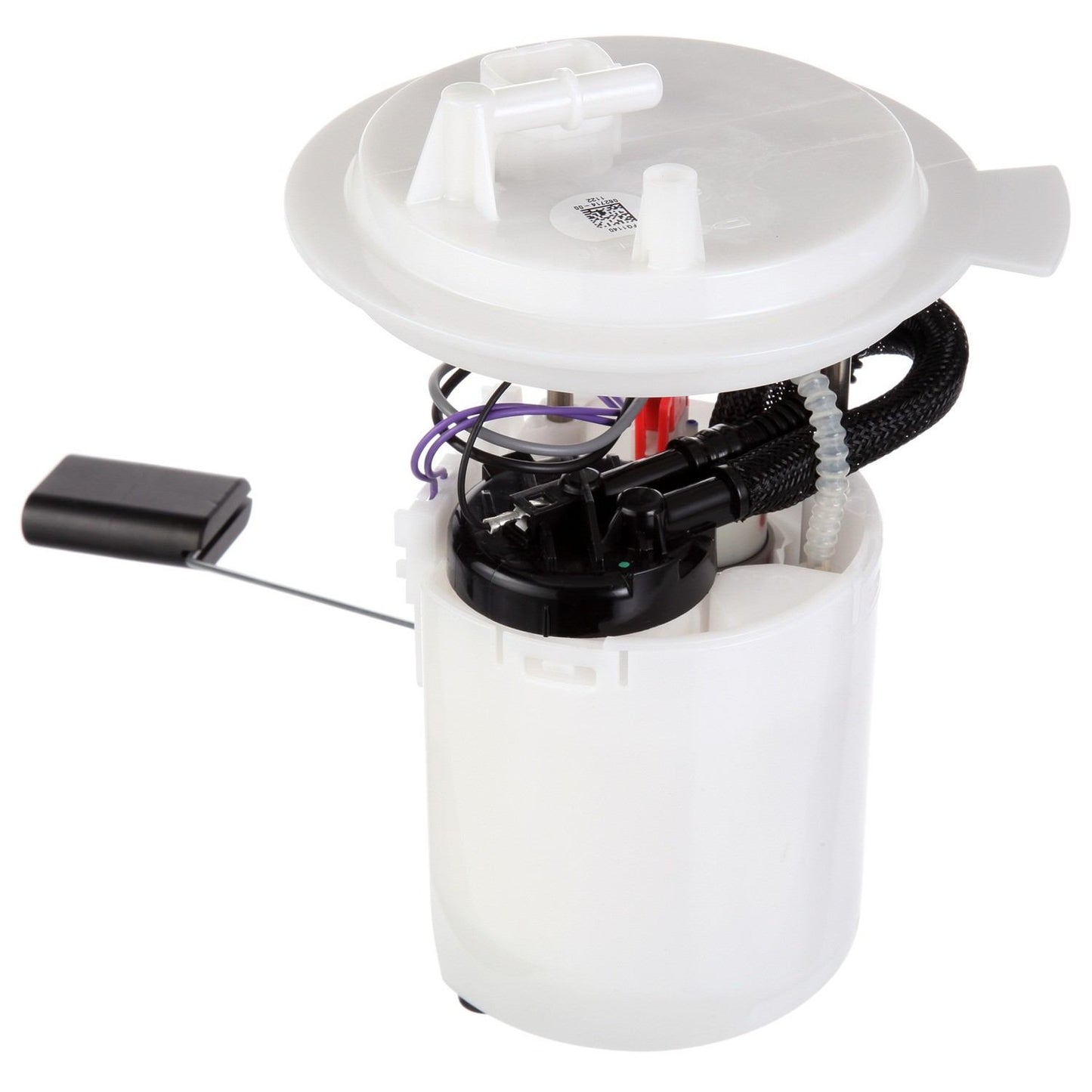 Angle View of Fuel Pump Module Assembly DELPHI FG1140