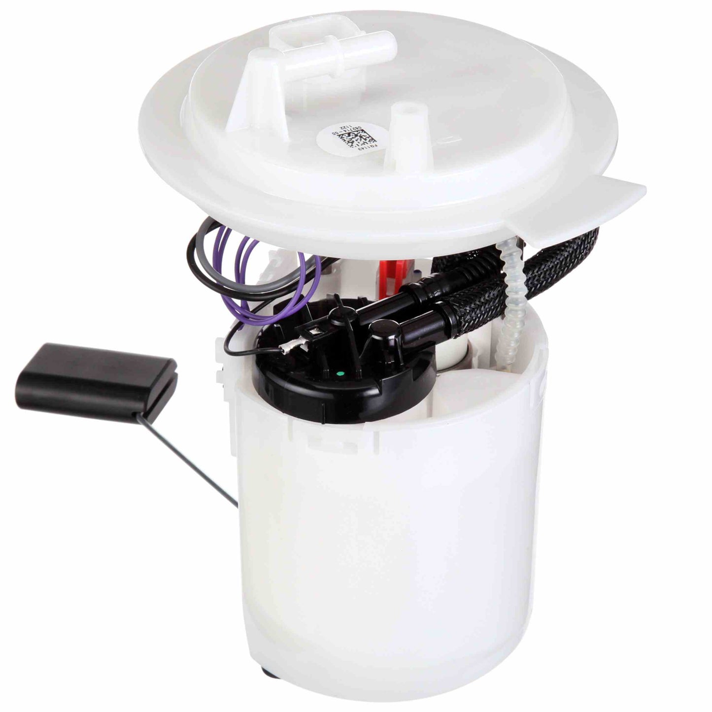 Angle View of Fuel Pump Module Assembly DELPHI FG1143