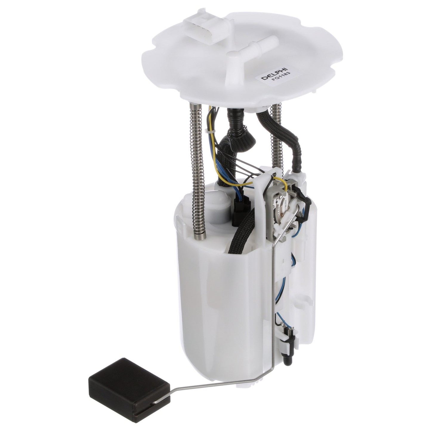 Angle View of Fuel Pump Module Assembly DELPHI FG1183