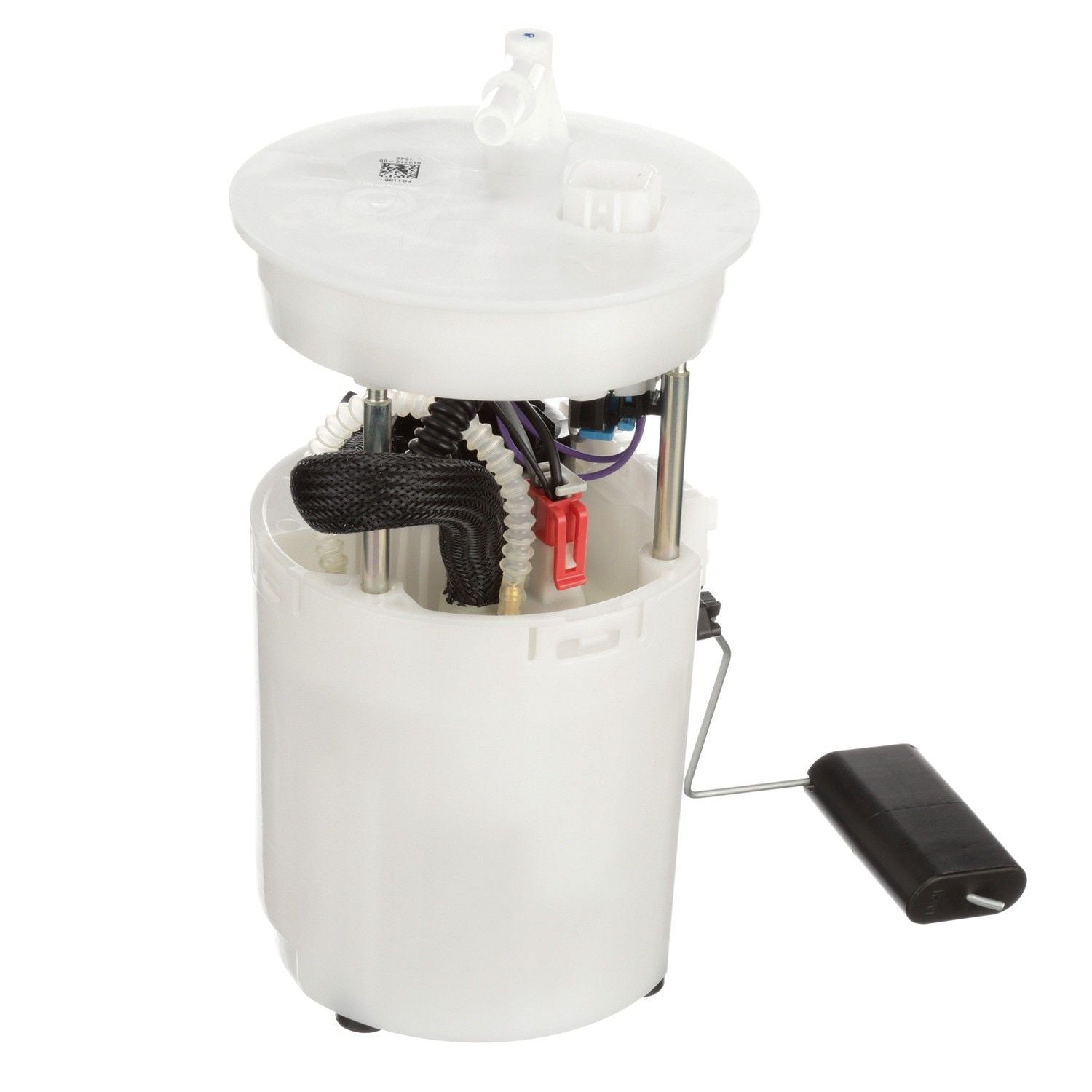 Angle View of Fuel Pump Module Assembly DELPHI FG1185