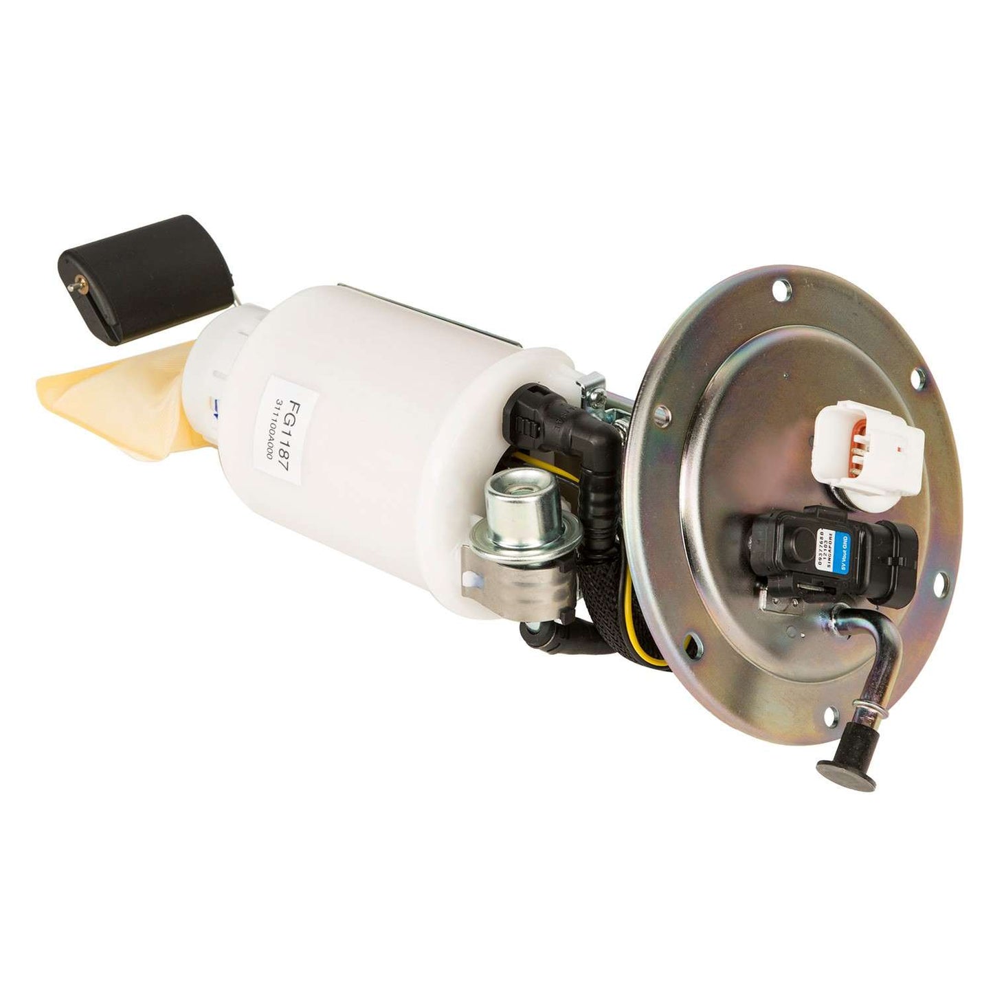 Angle View of Fuel Pump Module Assembly DELPHI FG1187