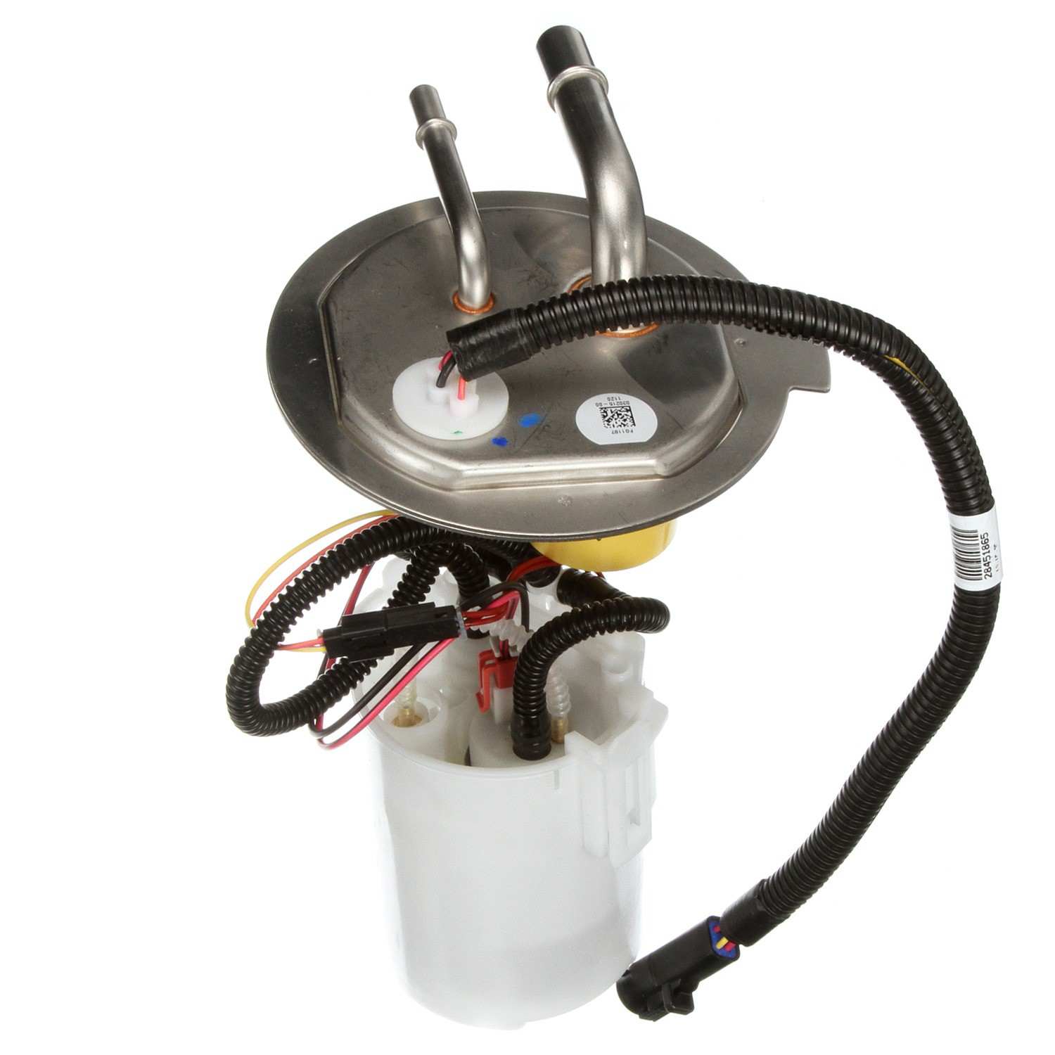 Angle View of Fuel Pump Module Assembly DELPHI FG1197