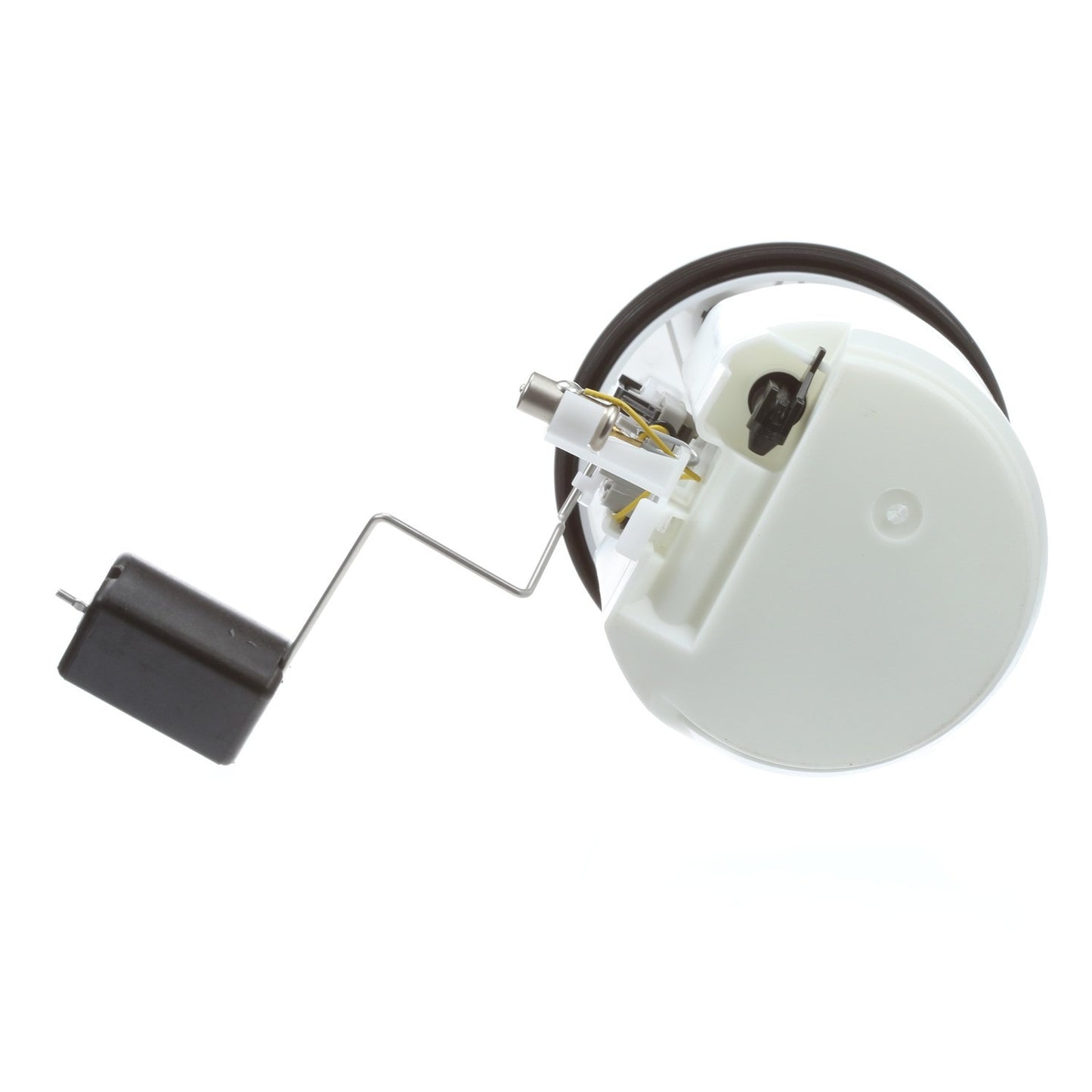 Bottom View of Fuel Pump Module Assembly DELPHI FG1223