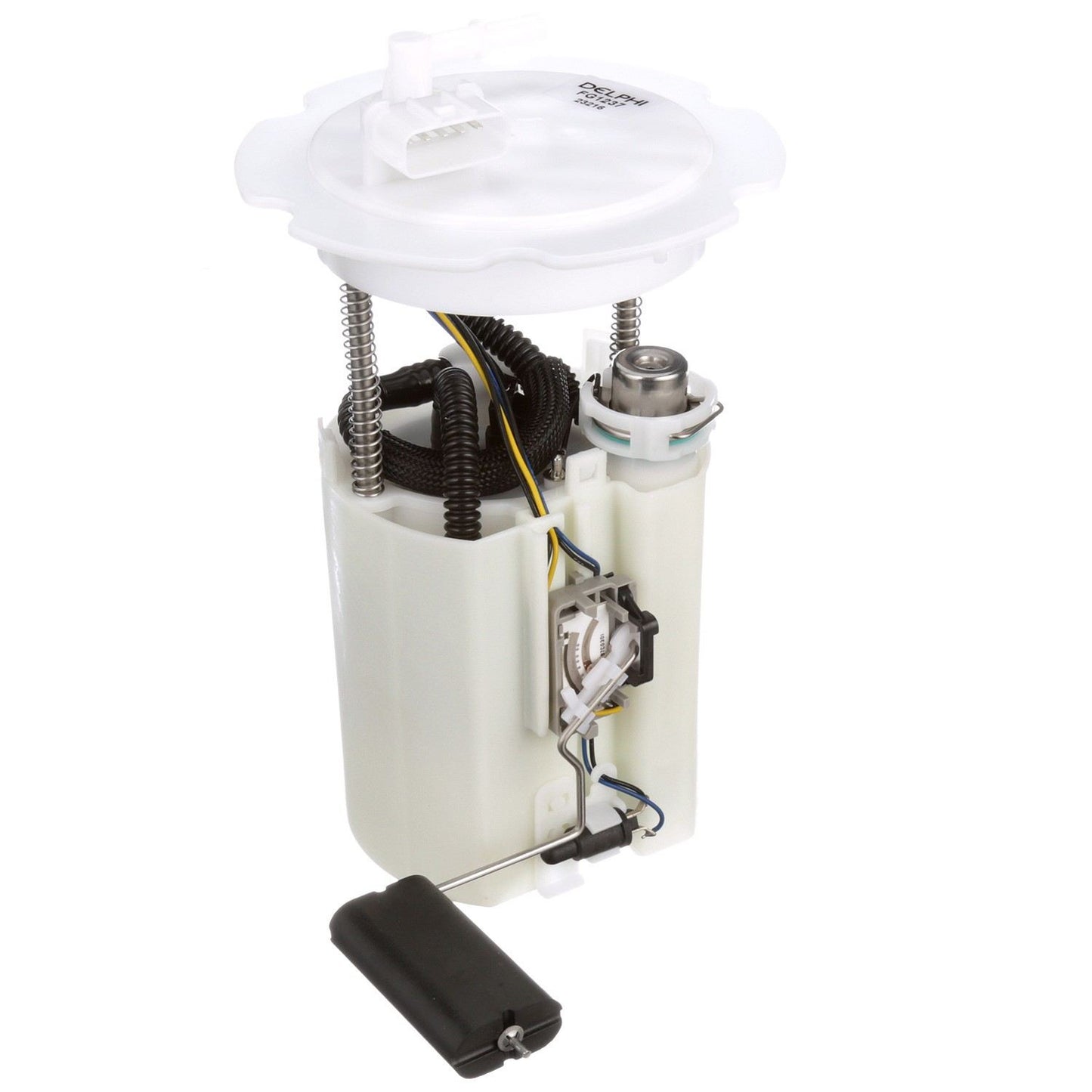 Angle View of Fuel Pump Module Assembly DELPHI FG1237