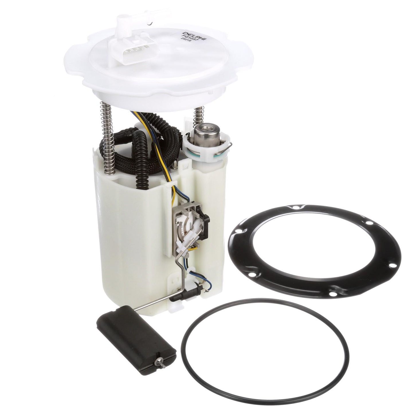 Kit View of Fuel Pump Module Assembly DELPHI FG1237