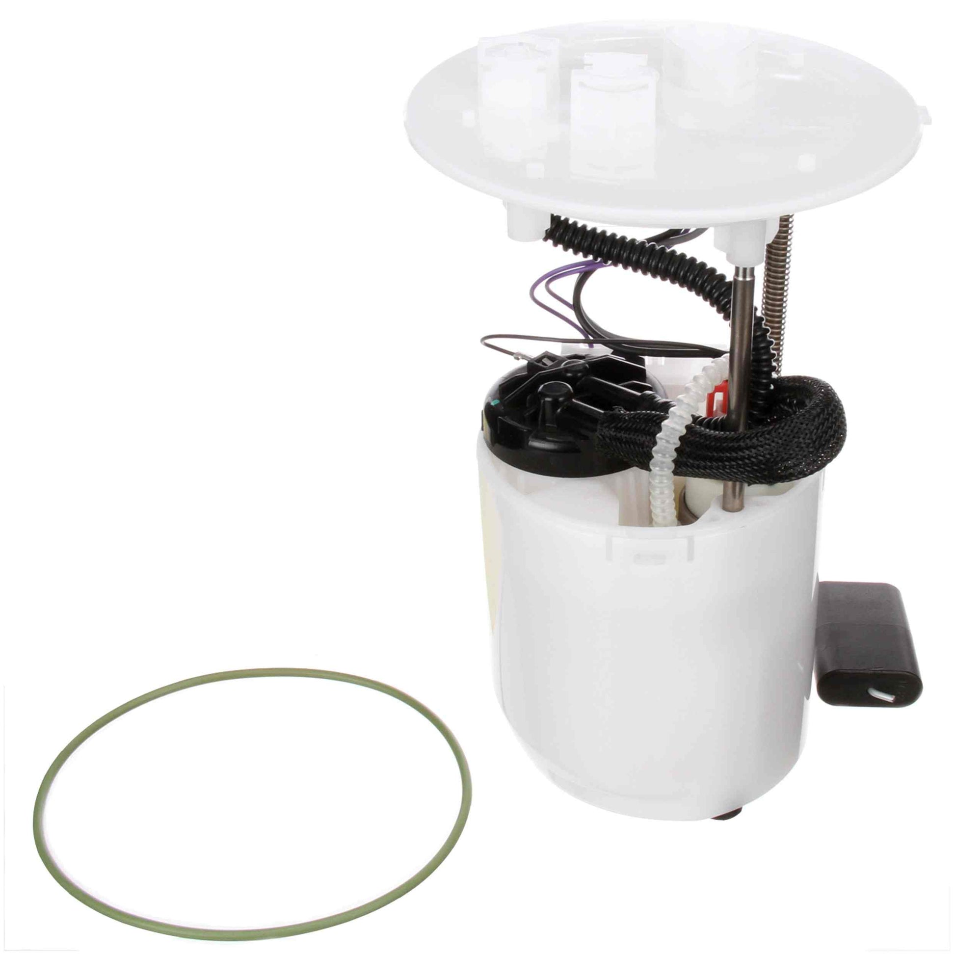 Kit View of Fuel Pump Module Assembly DELPHI FG1274