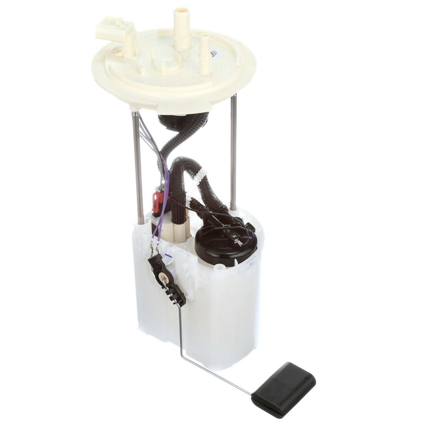 Angle View of Fuel Pump Module Assembly DELPHI FG1315