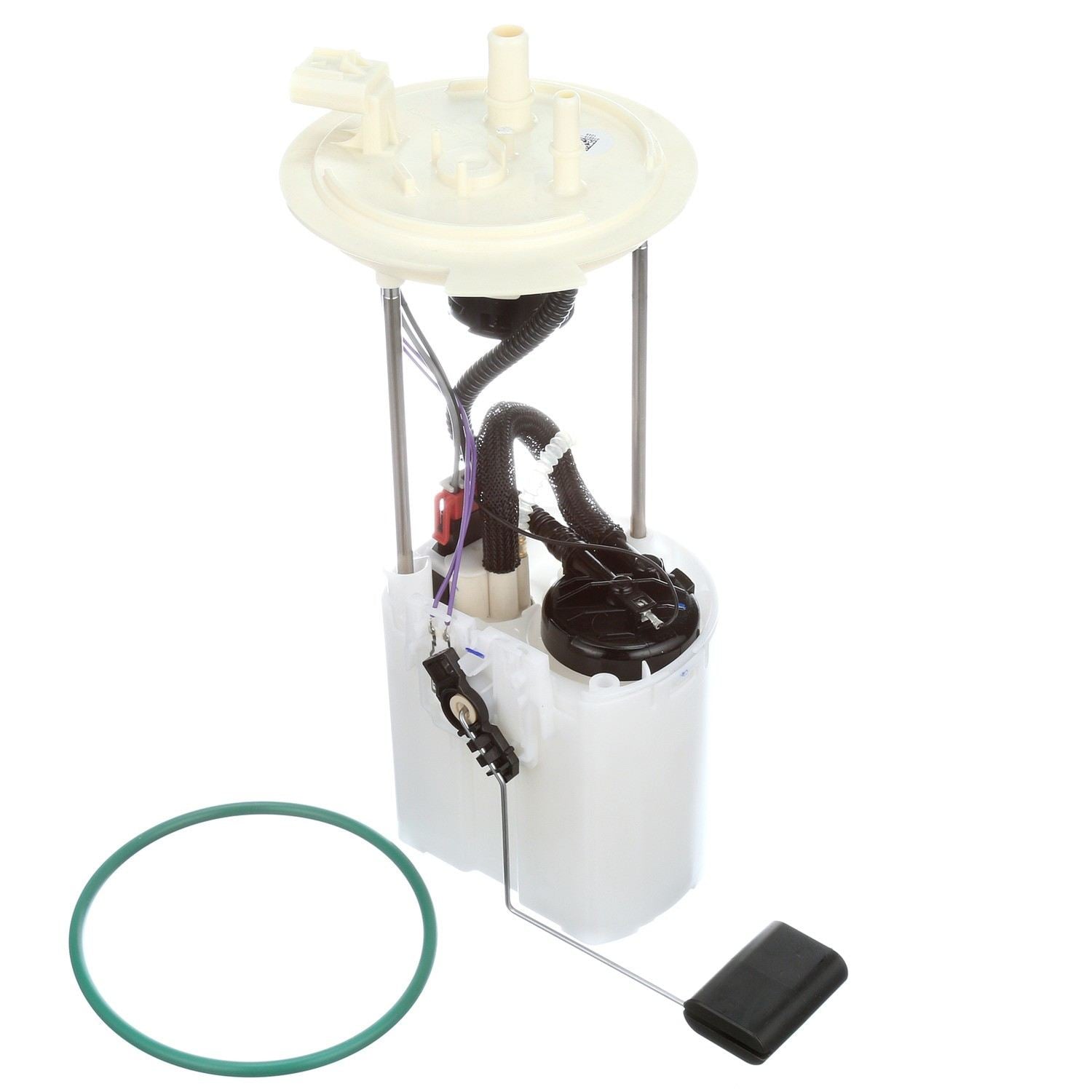 Kit View of Fuel Pump Module Assembly DELPHI FG1315