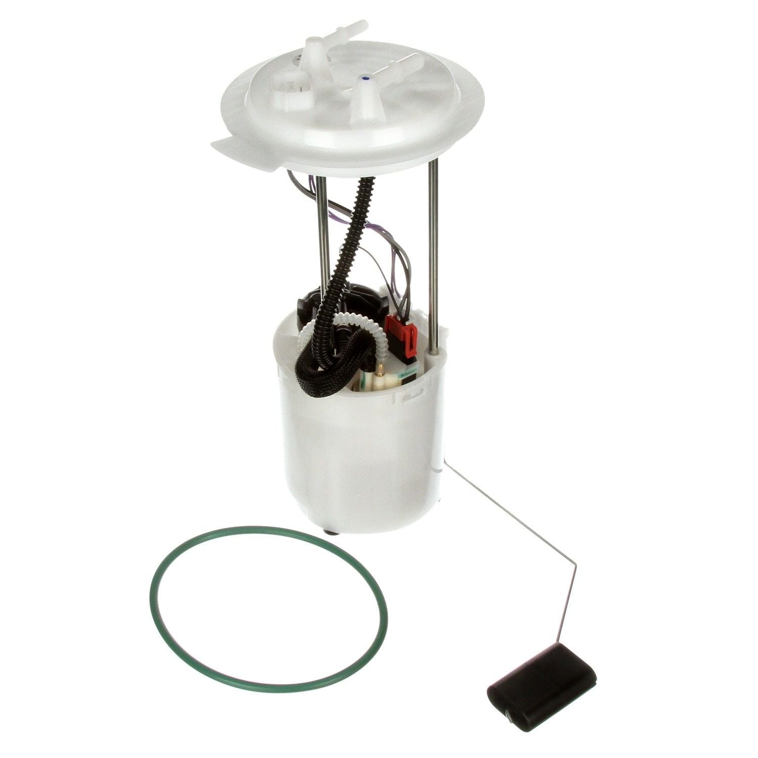 Kit View of Fuel Pump Module Assembly DELPHI FG1318