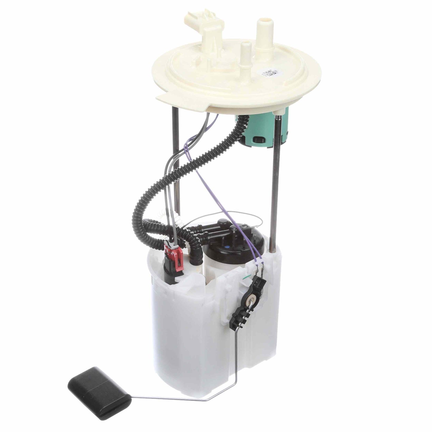 Angle View of Fuel Pump Module Assembly DELPHI FG1319