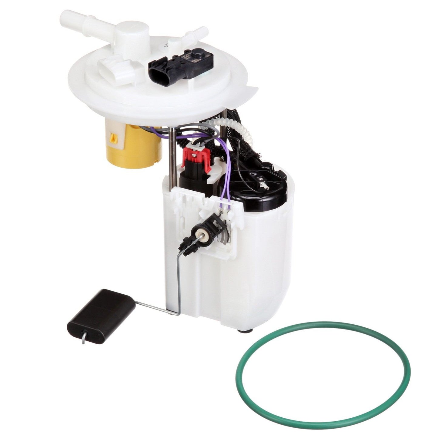 Kit View of Fuel Pump Module Assembly DELPHI FG1371