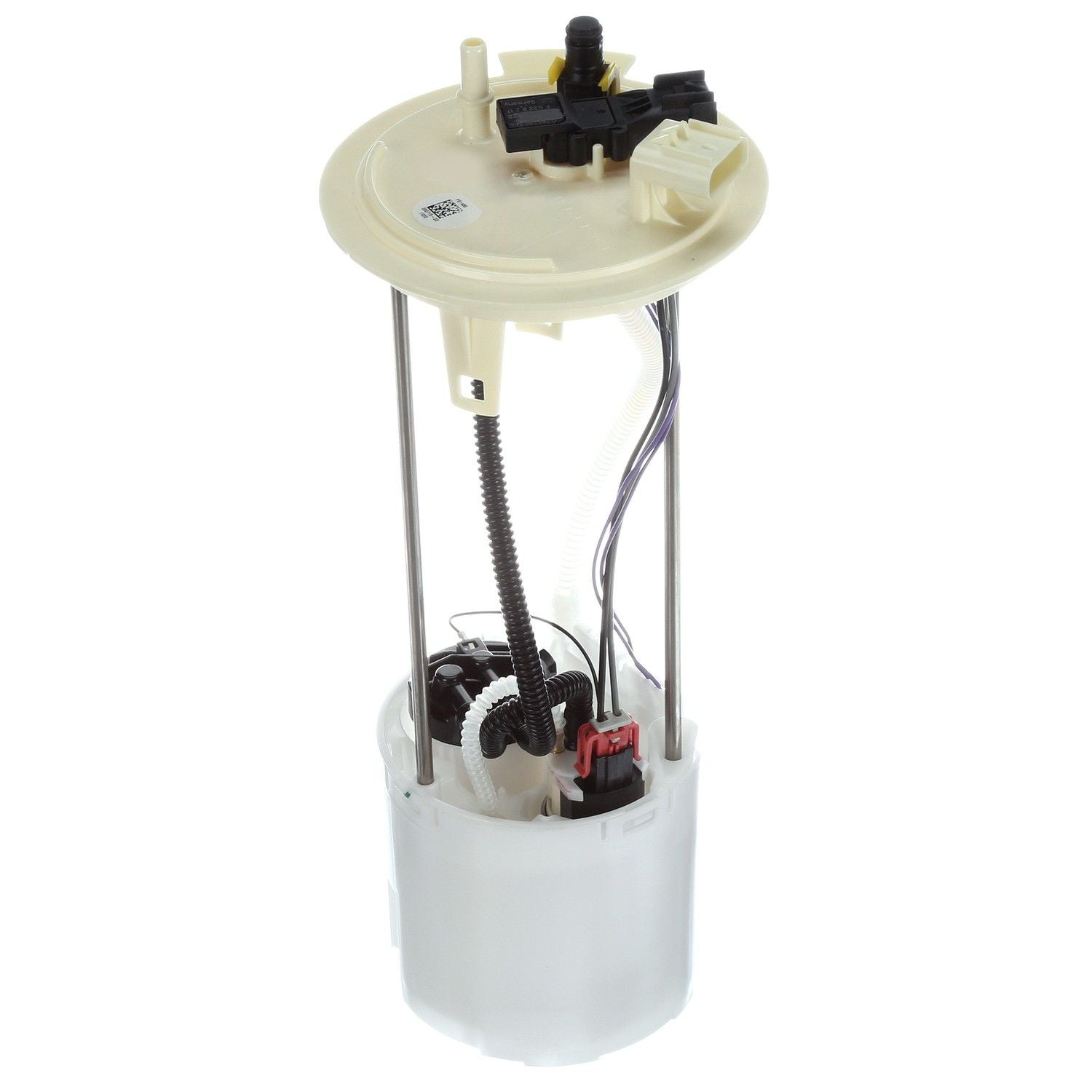 Angle View of Fuel Pump Module Assembly DELPHI FG1480