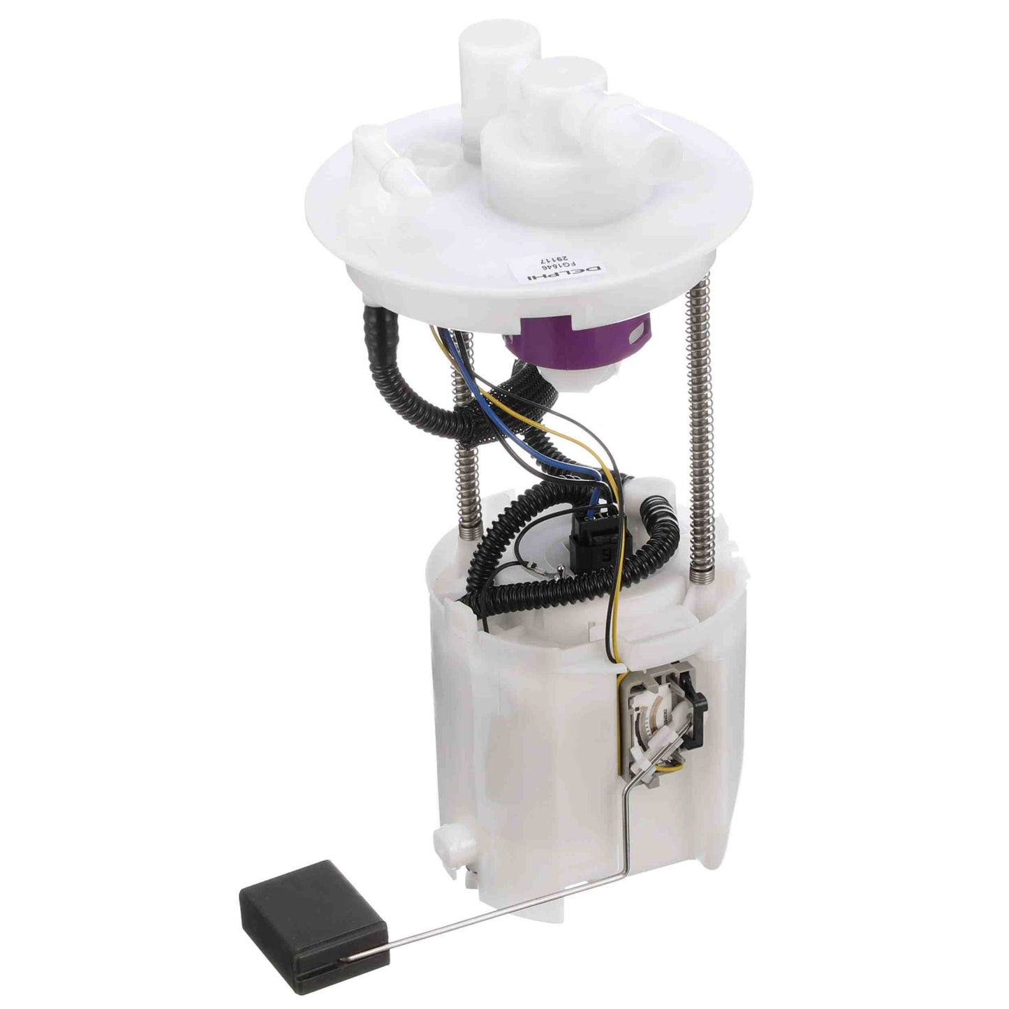 Angle View of Fuel Pump Module Assembly DELPHI FG1546